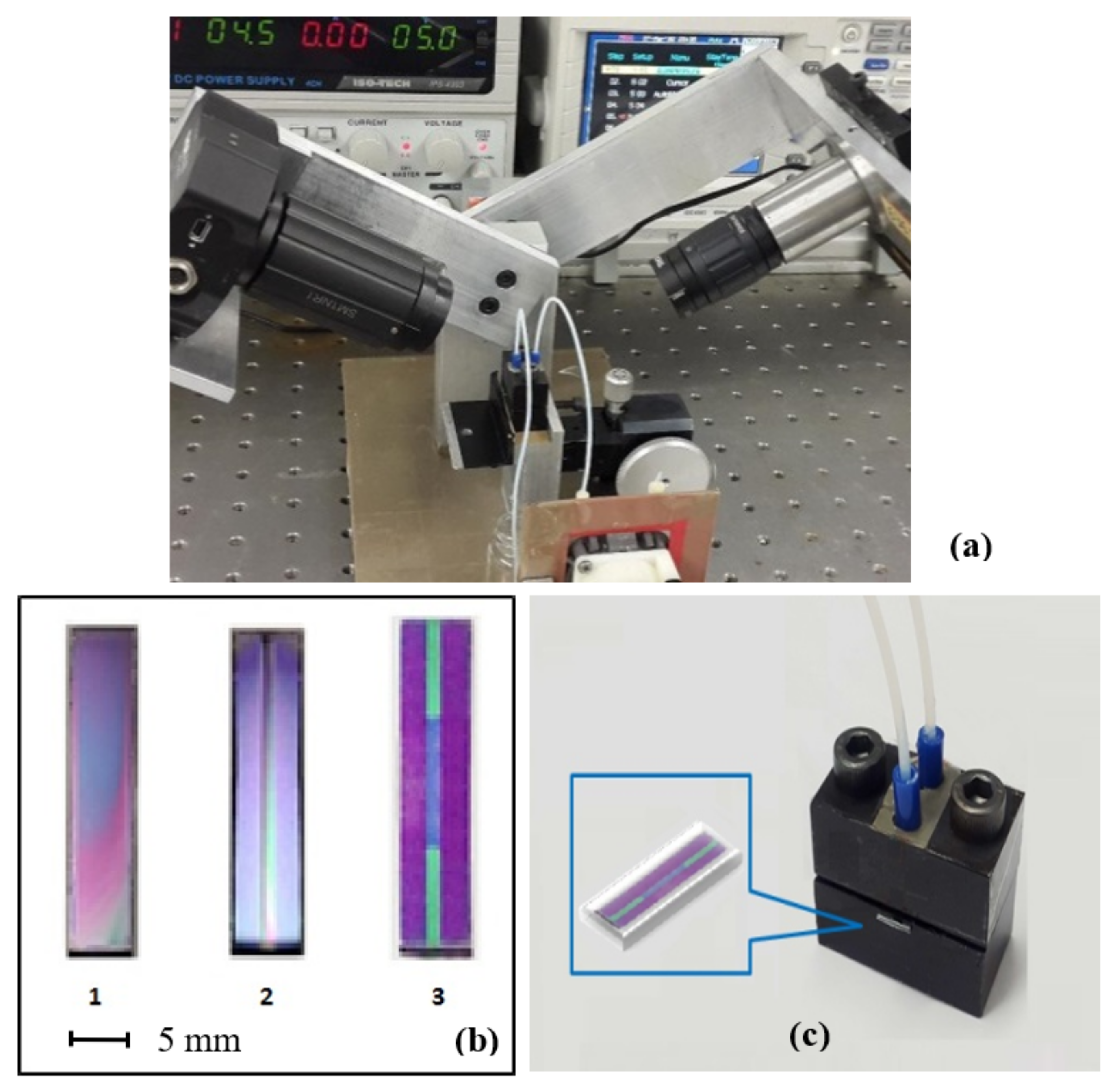 Toxins 13 00089 g003 Toxins 13 00089 g003