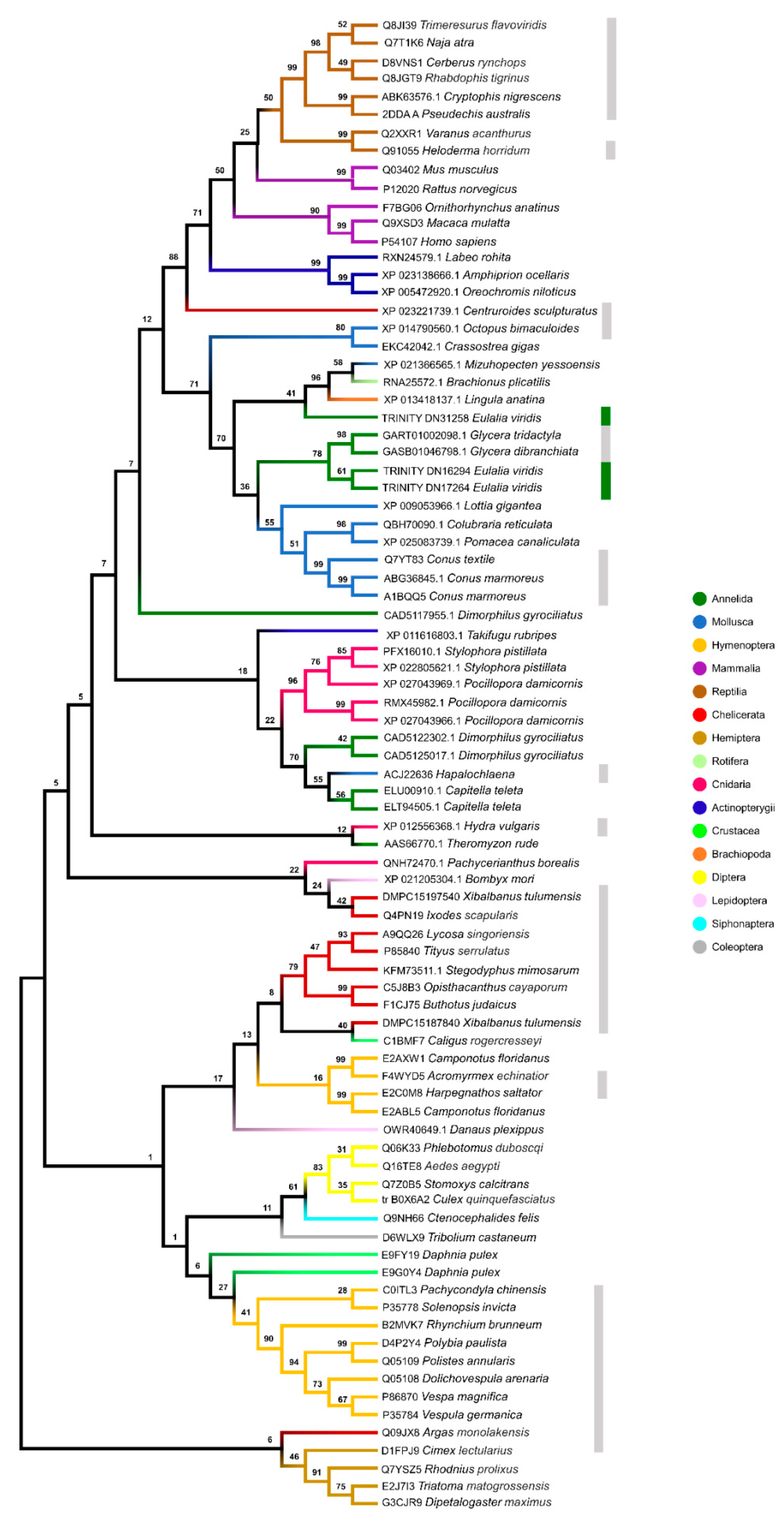 Toxins 13 00097 g003 Toxins 13 00097 g003