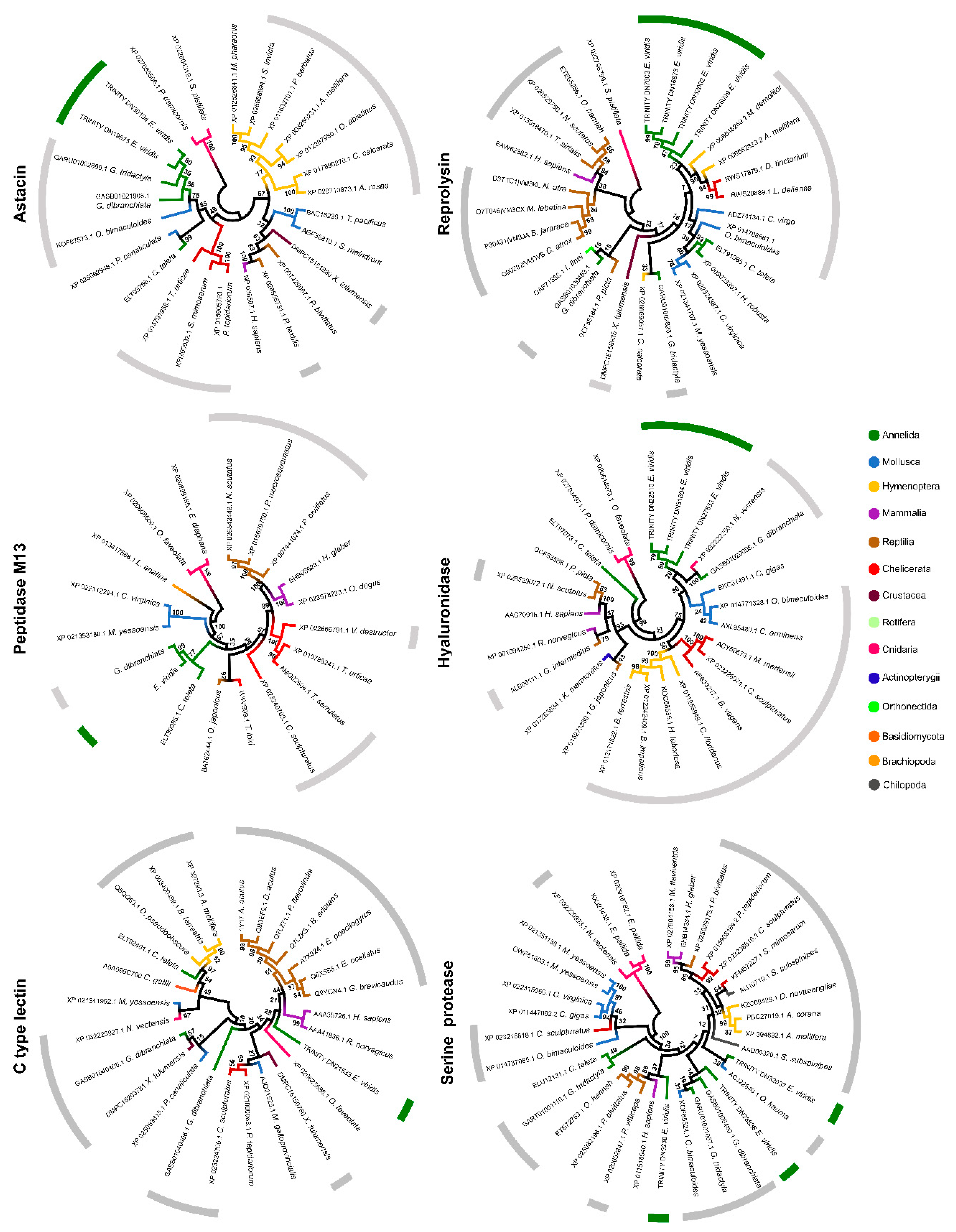Toxins 13 00097 g004 Toxins 13 00097 g004