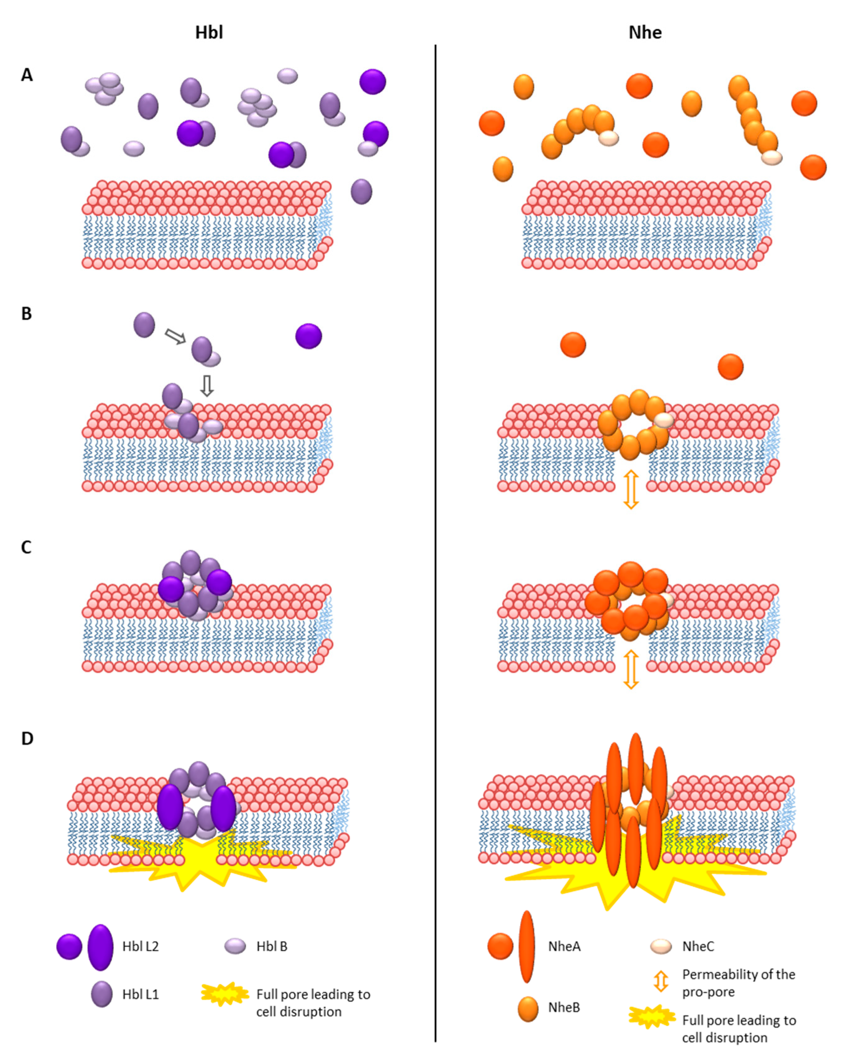 Toxins 13 00098 g005