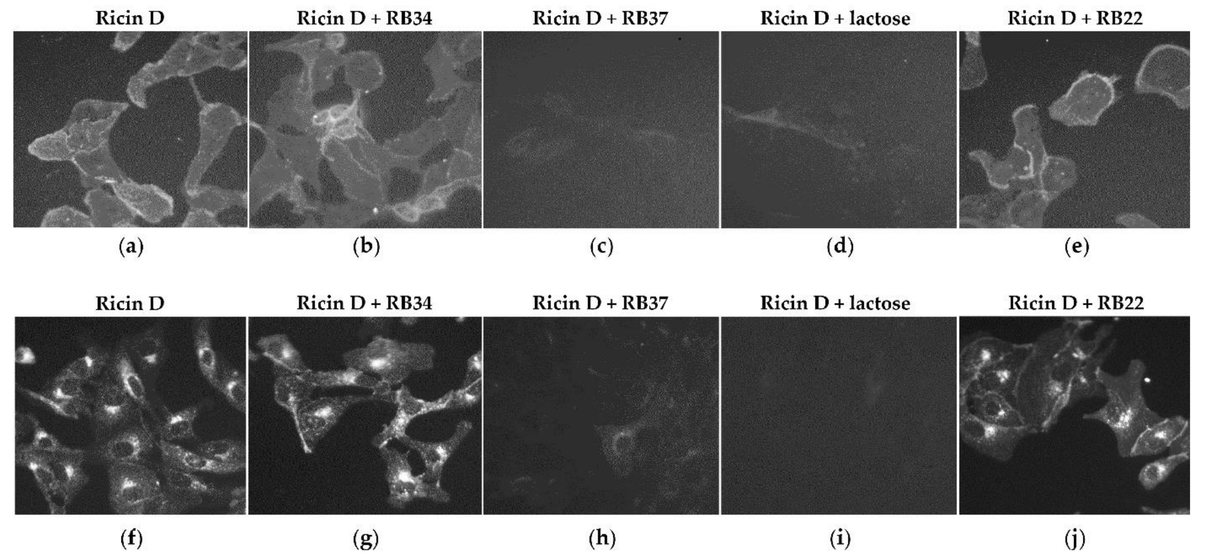 Toxins 13 00100 g003 Toxins 13 00100 g003