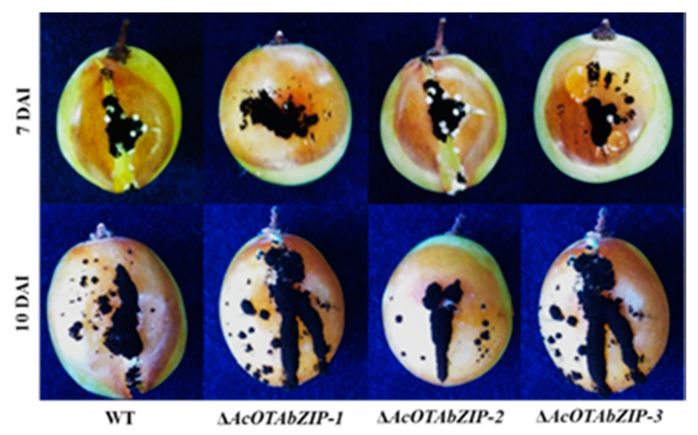 Toxins 13 00111 g003 Toxins 13 00111 g003