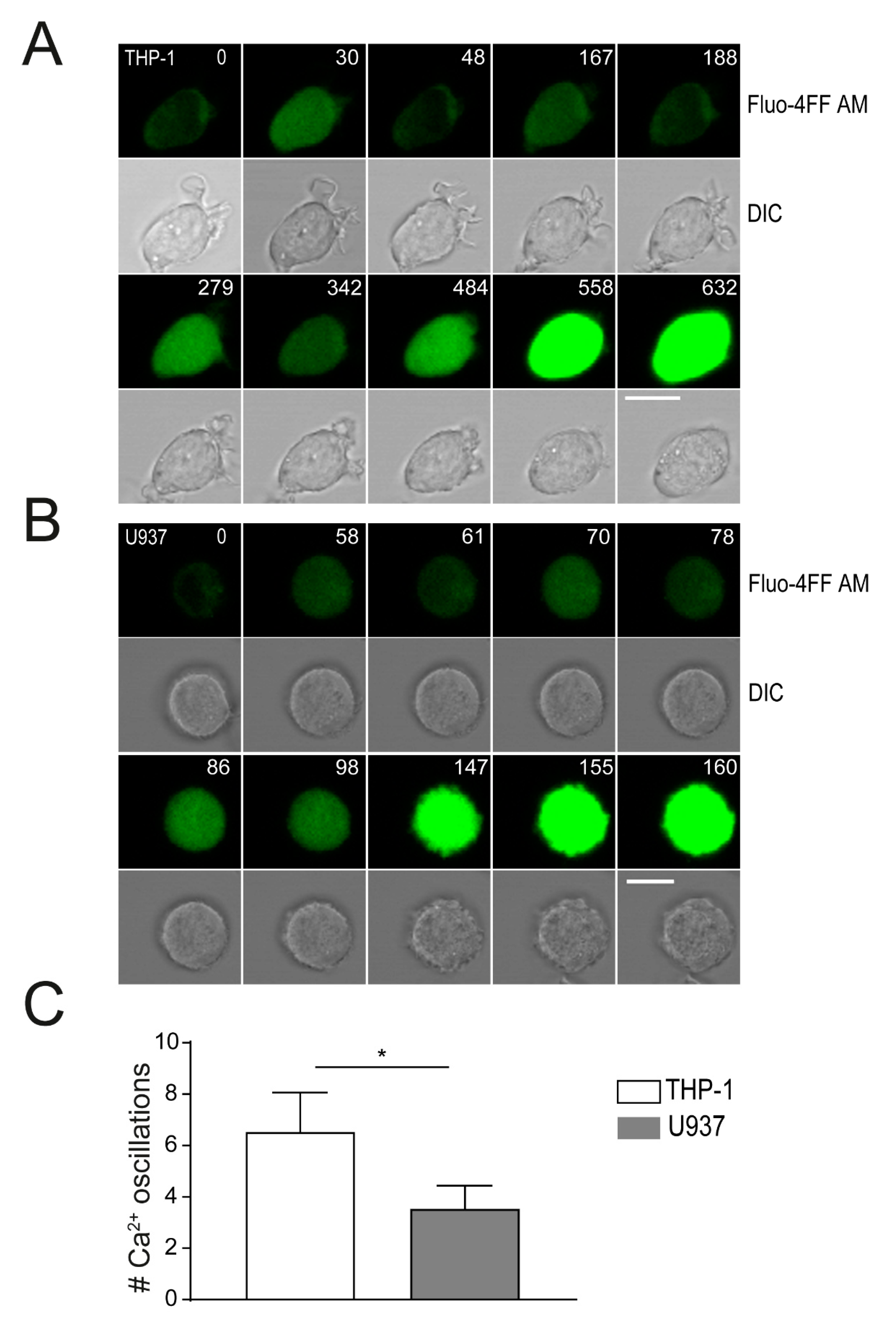 Toxins 13 00126 g004