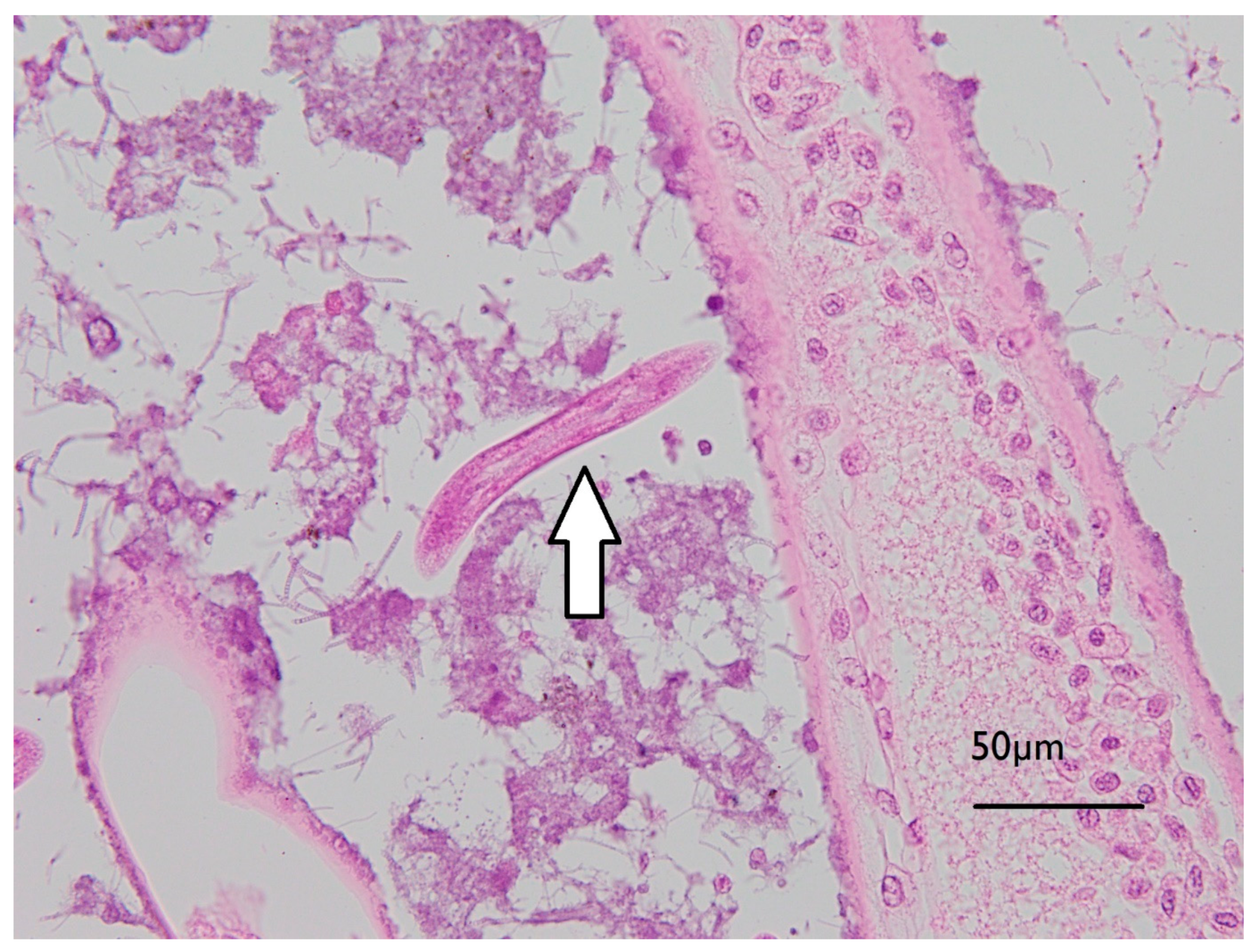 Toxins 13 00129 g006