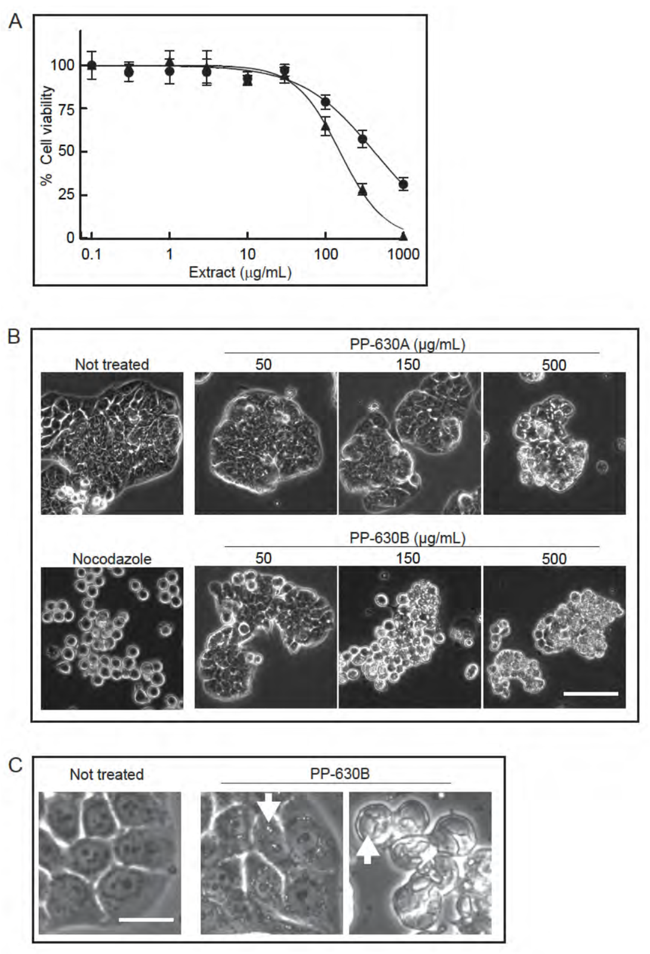 Toxins 13 00138 g002