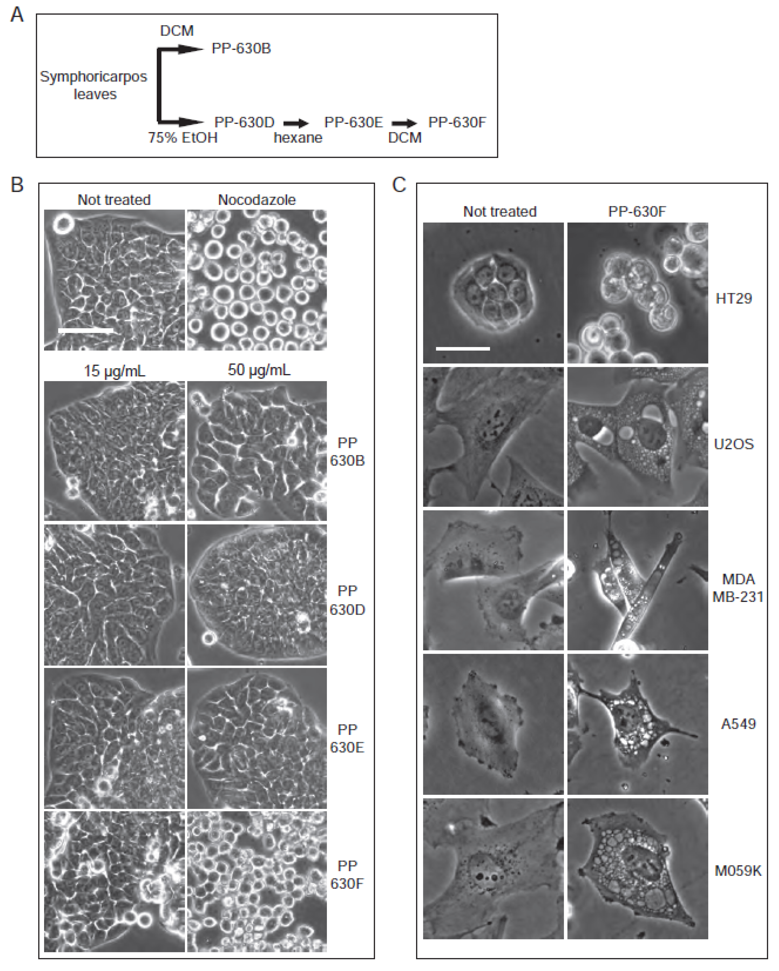 Toxins 13 00138 g003