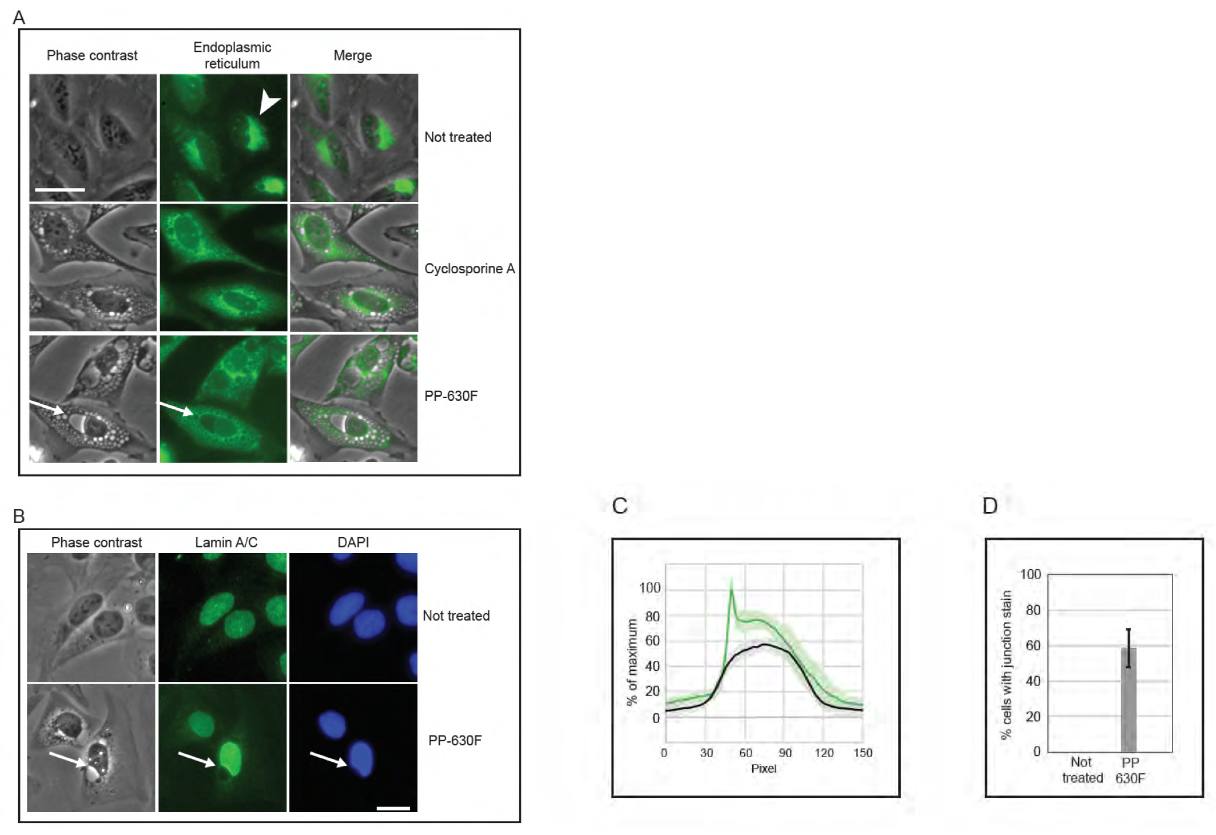 Toxins 13 00138 g007