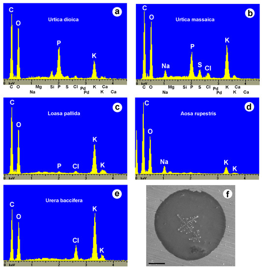 Toxins 13 00141 g010 550