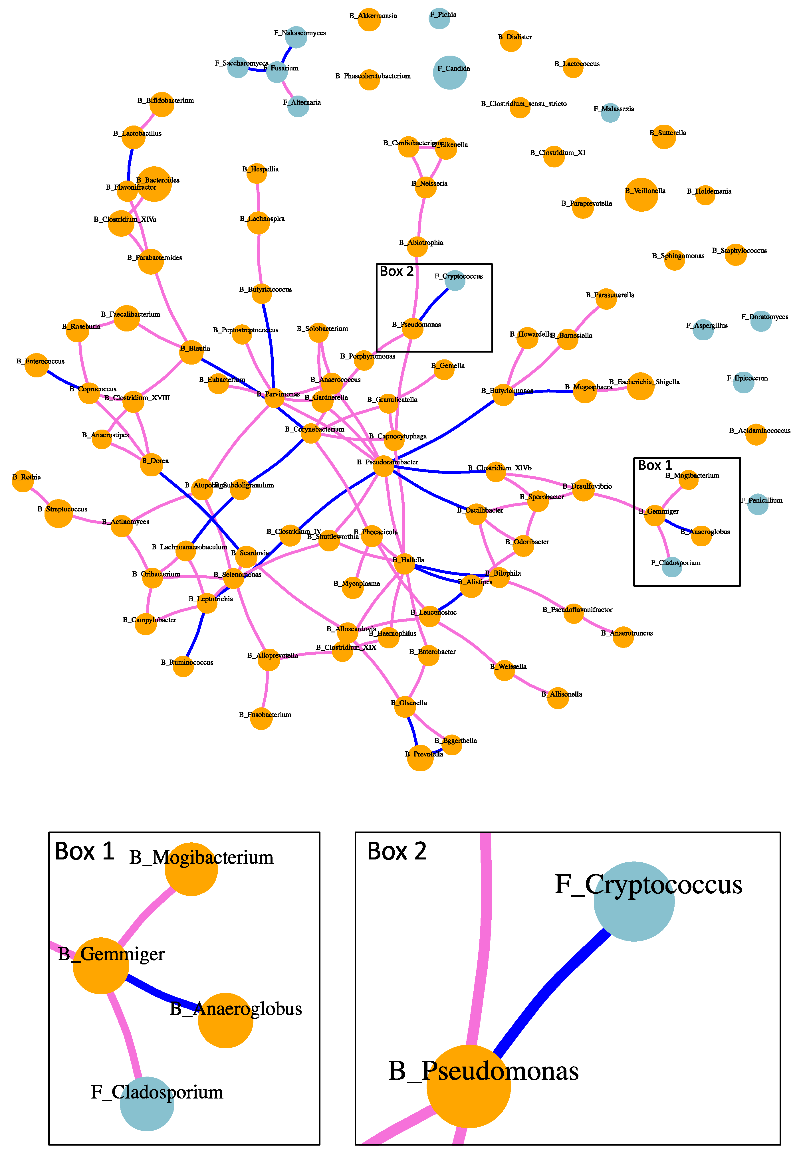 Toxins 13 00143 g004
