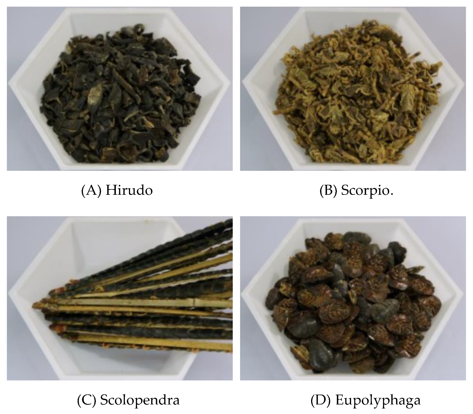 Toxins 13 00145 g002