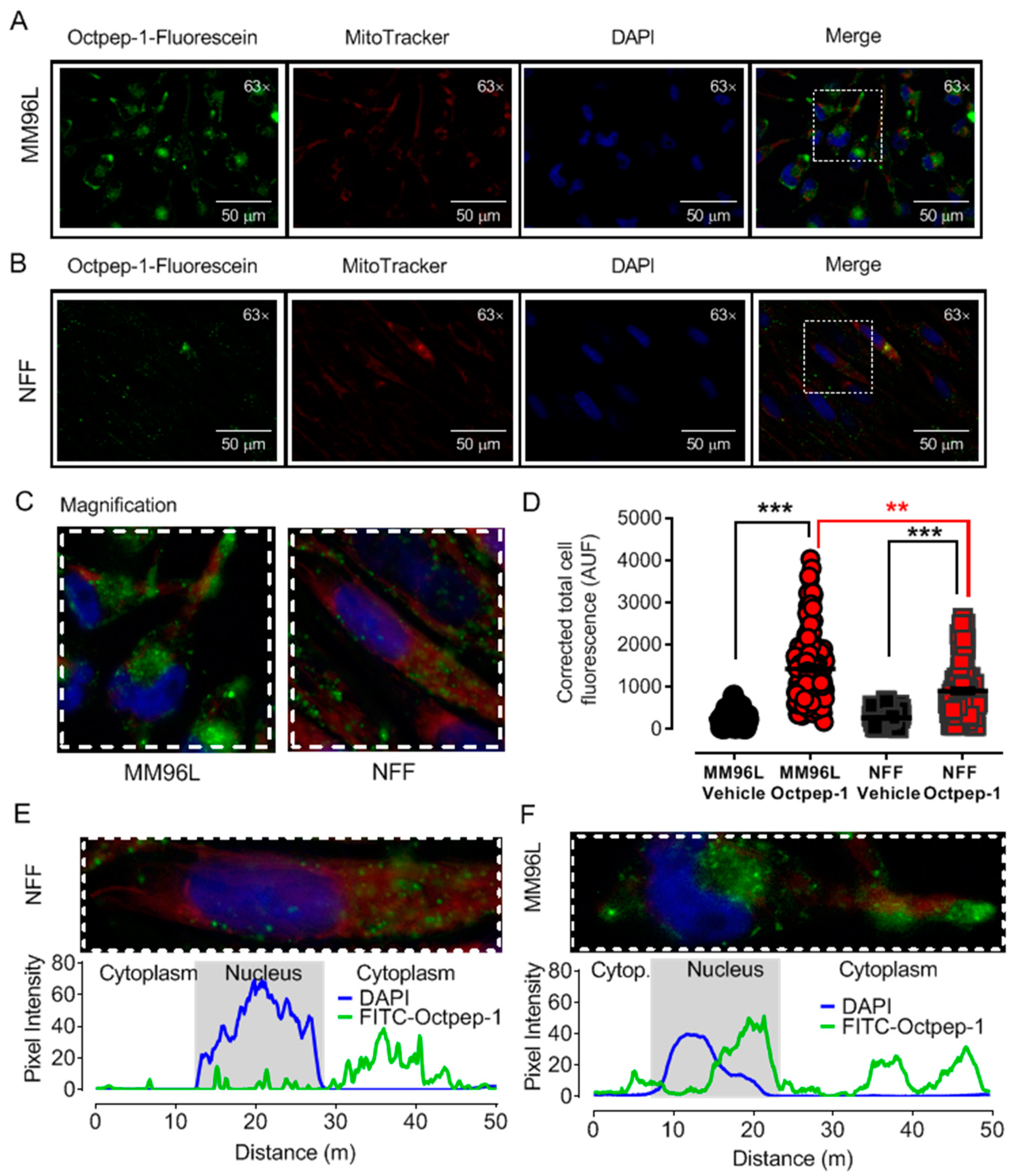 Toxins 13 00146 g001