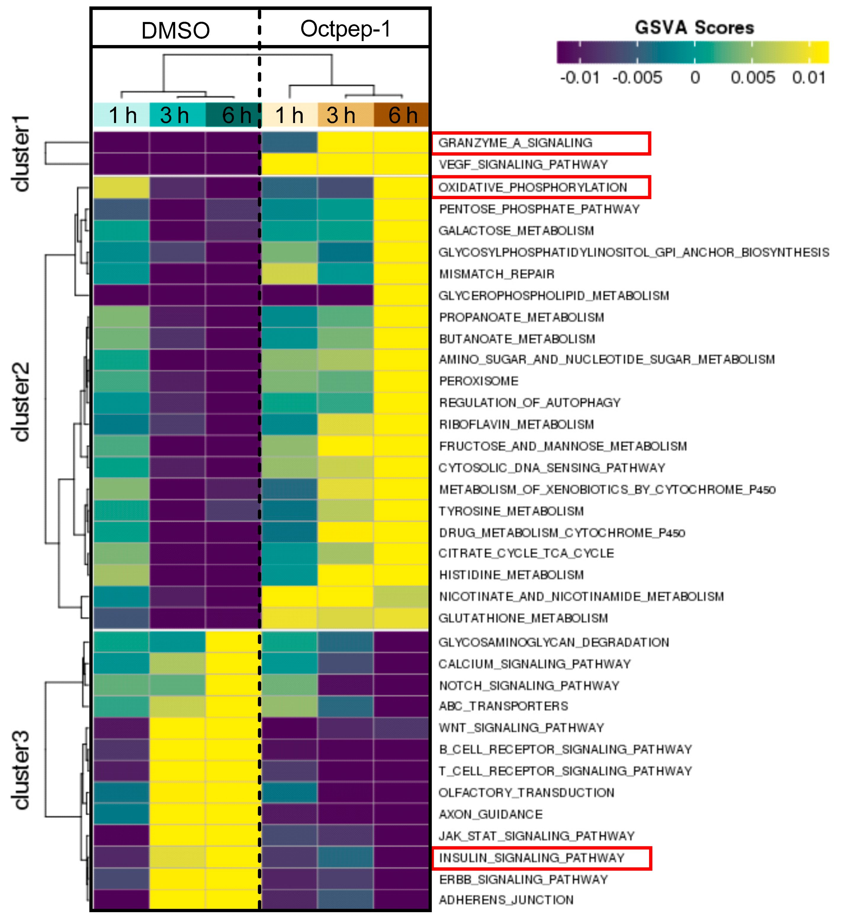 Toxins 13 00146 g005