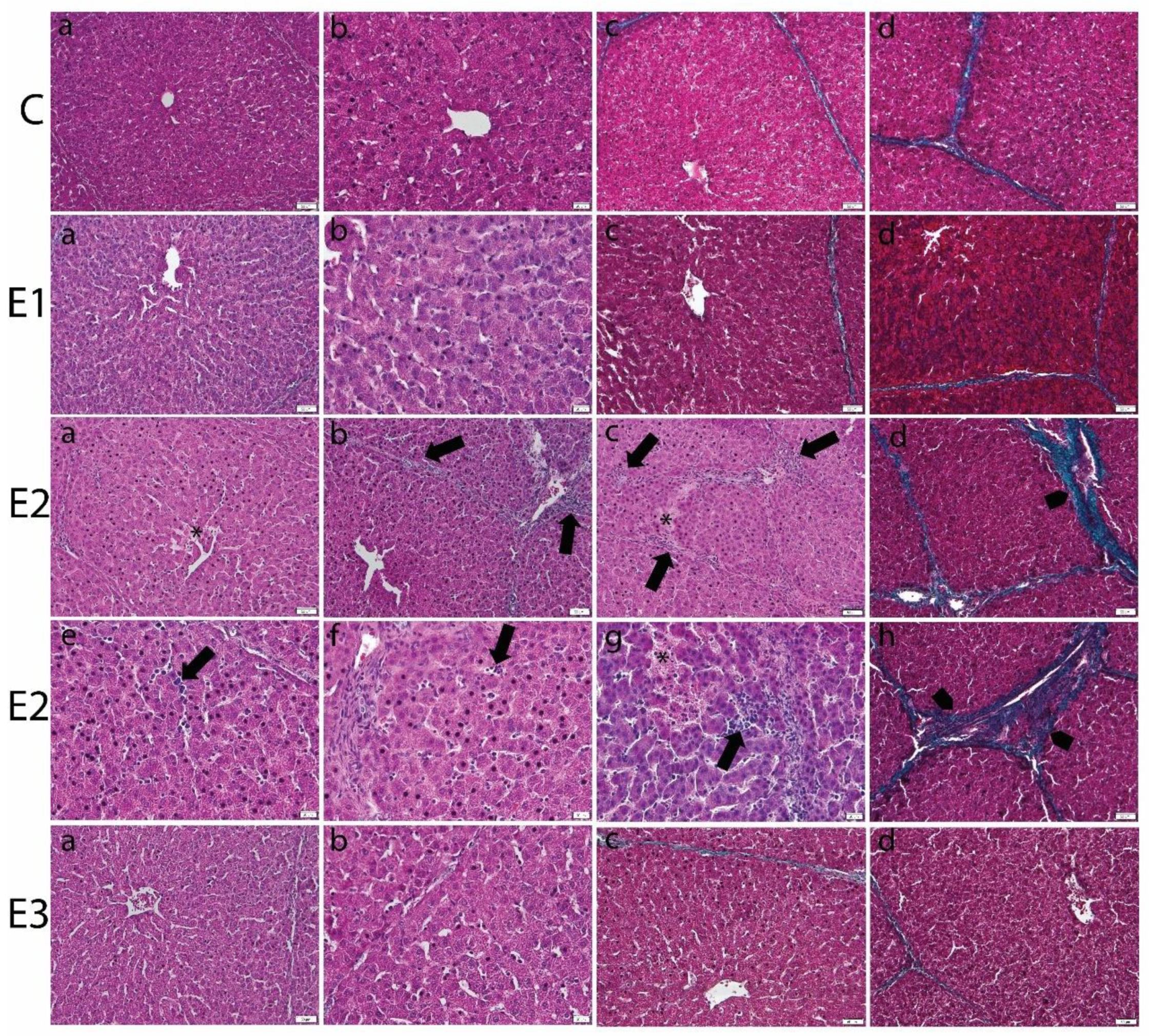 Toxins 13 00148 g001 Toxins 13 00148 g001