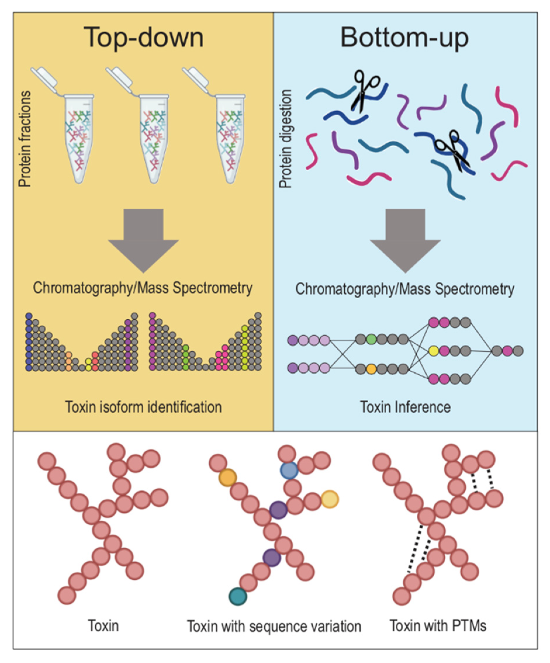 Toxins 13 00154 g002 Toxins 13 00154 g002