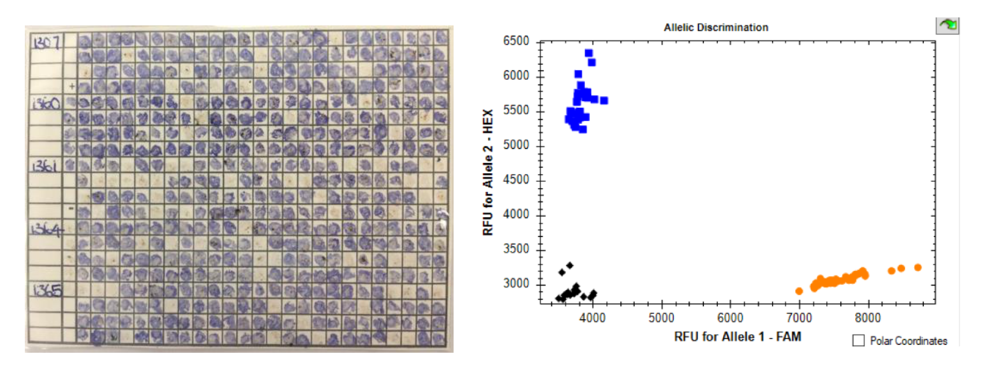 Toxins 13 00158 g001