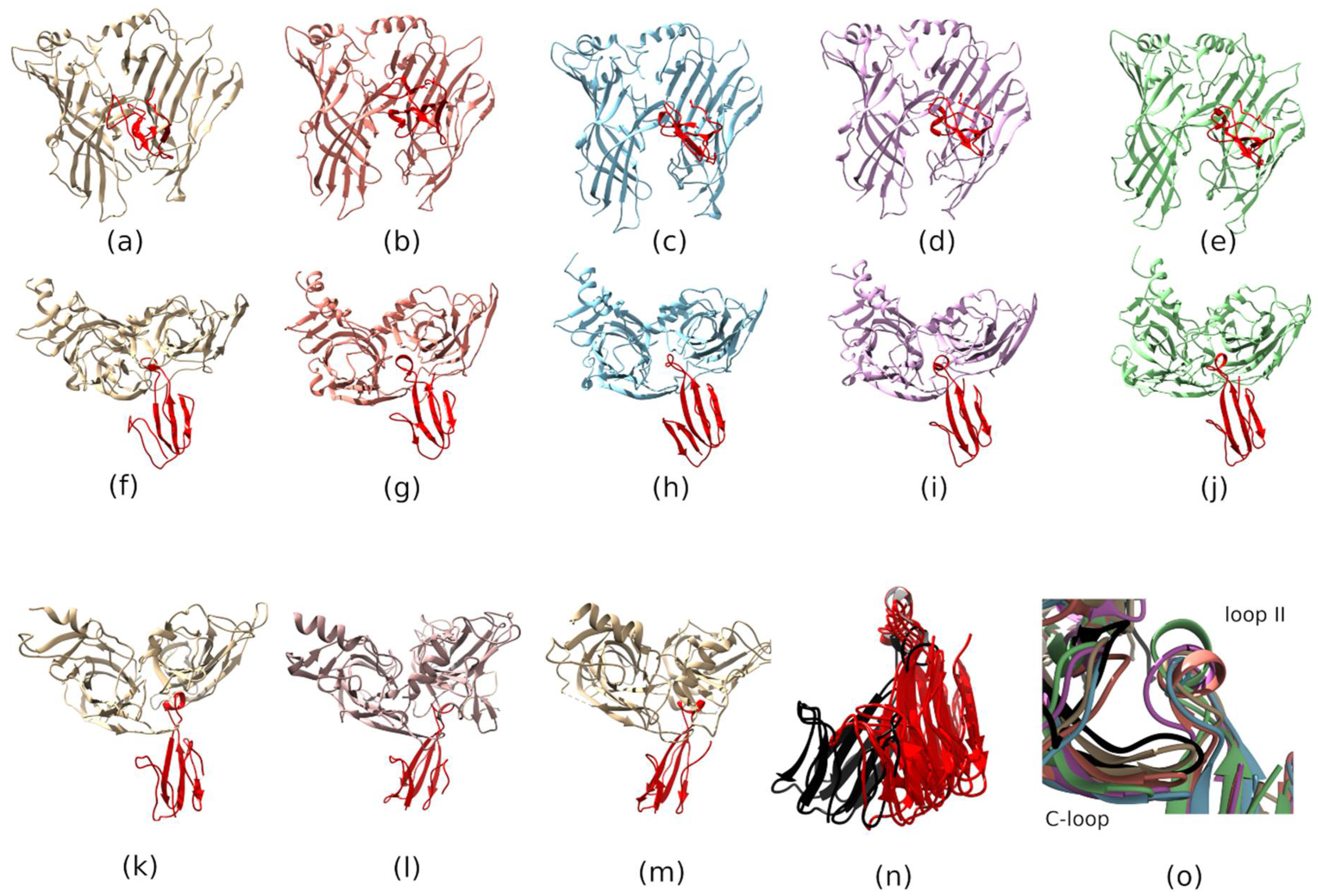 Toxins 13 00164 g010