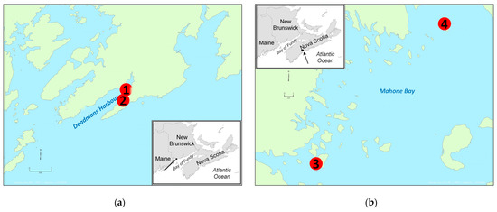 Toxins Free Full Text Shellfish Toxin Uptake And Depuration In Multiple Atlantic Canadian Molluscan Species Application To Selection Of Sentinel Species In Monitoring Programs Html