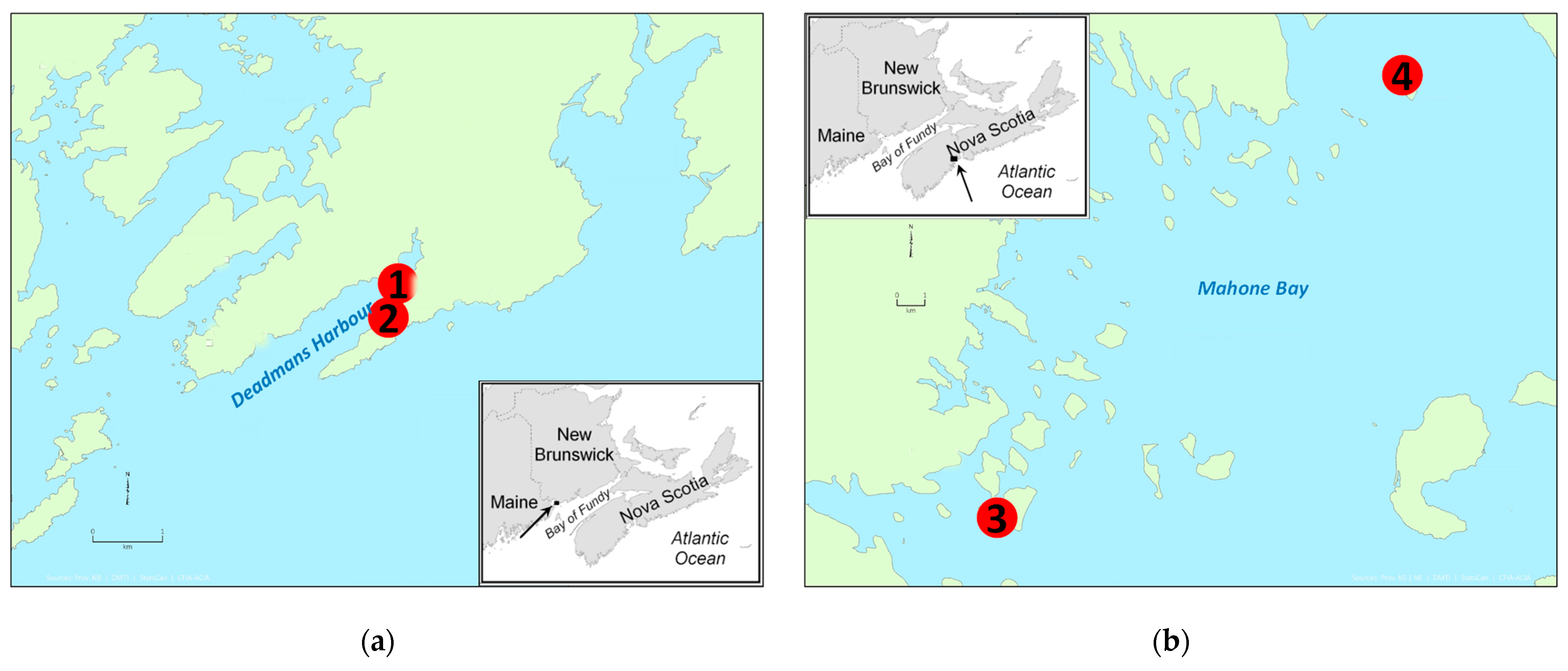 Toxins 13 00168 g001 Toxins 13 00168 g001