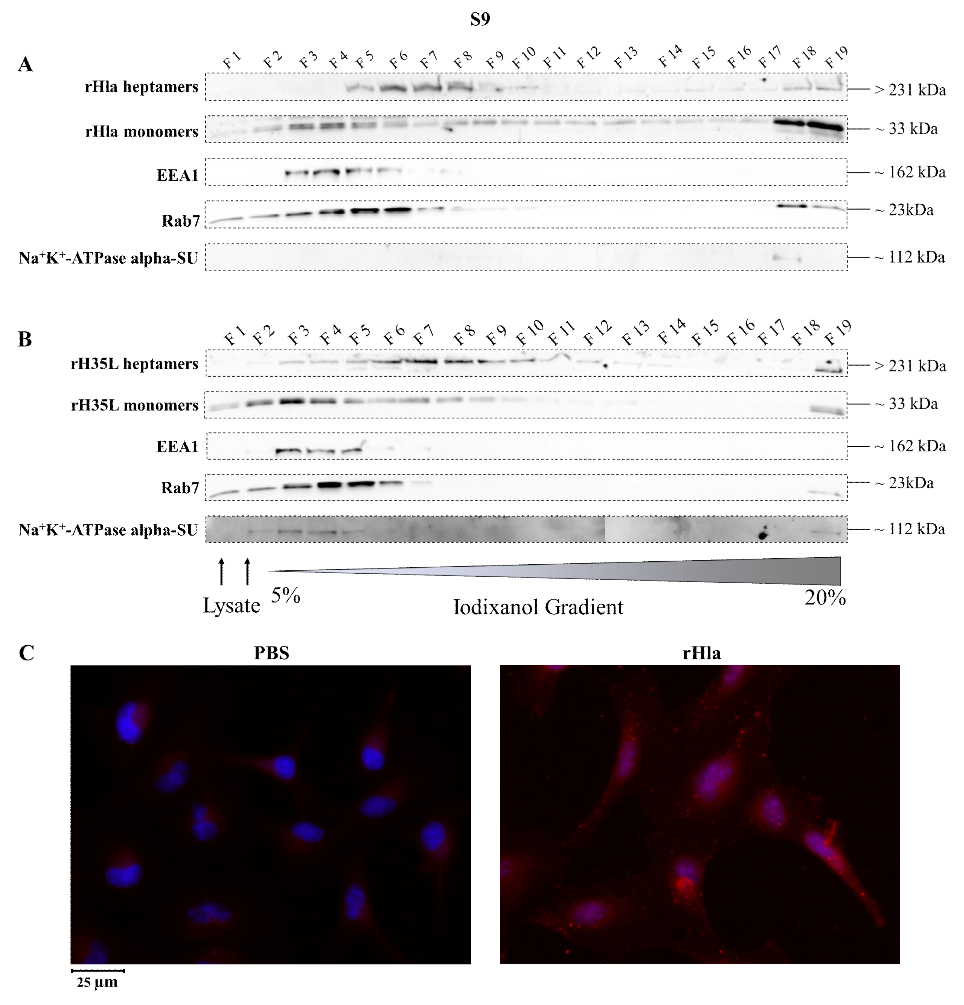 Toxins 13 00173 g003