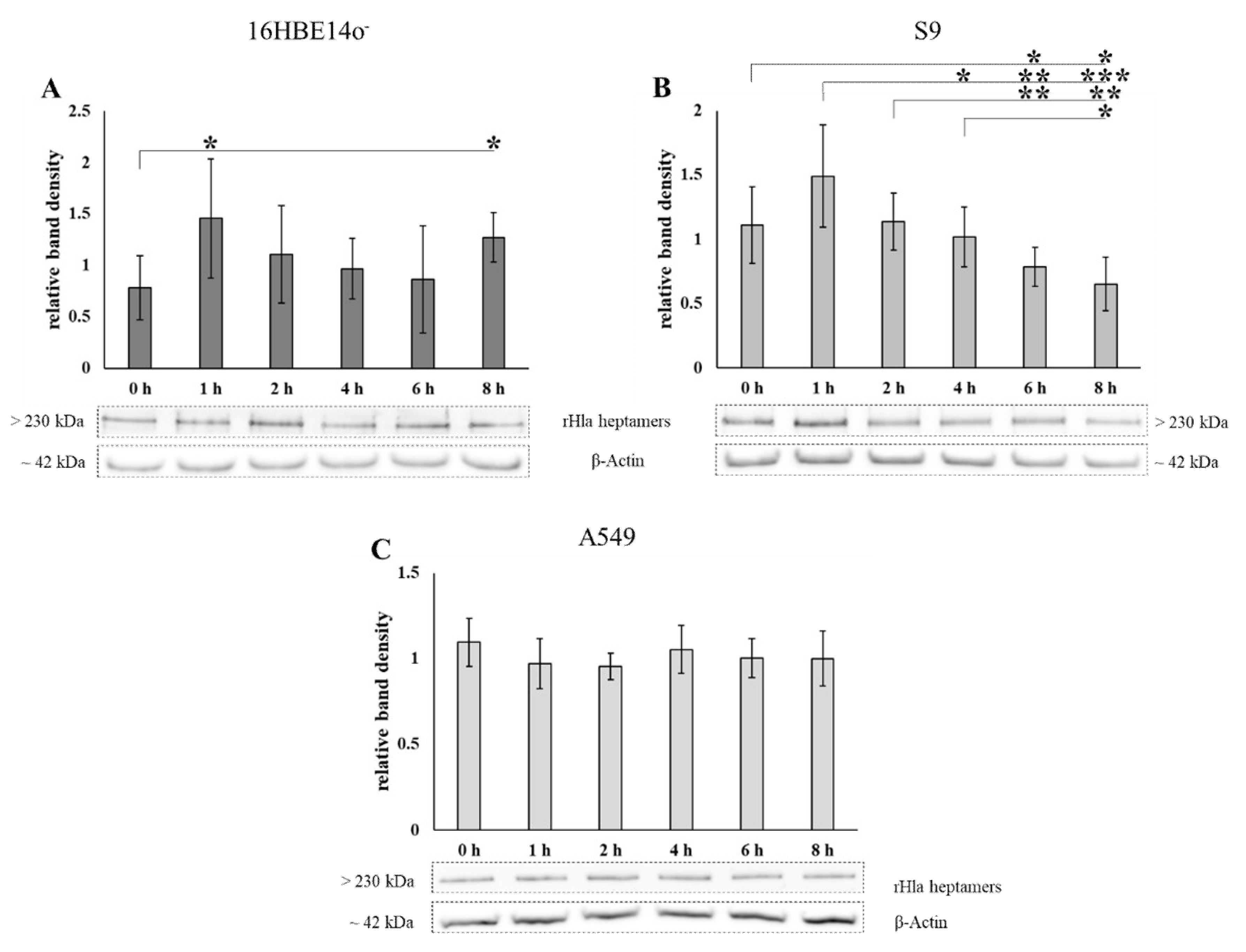 Toxins 13 00173 g005