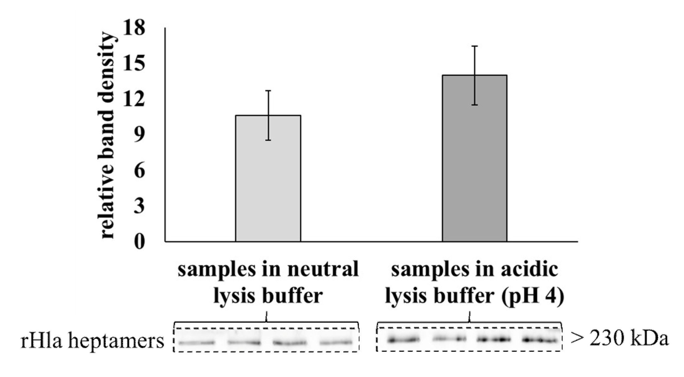 Toxins 13 00173 g007