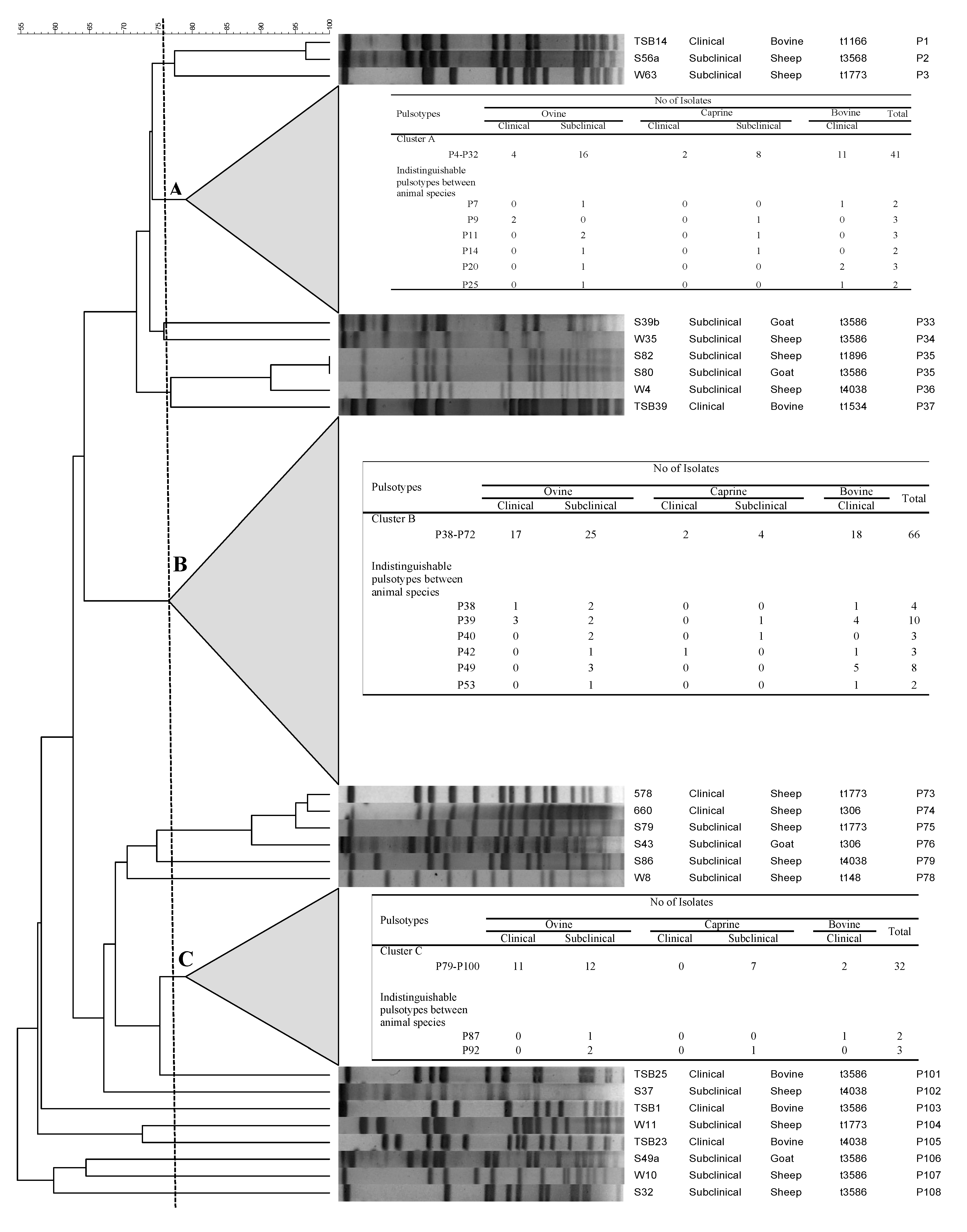 Toxins 13 00176 g001 Toxins 13 00176 g001