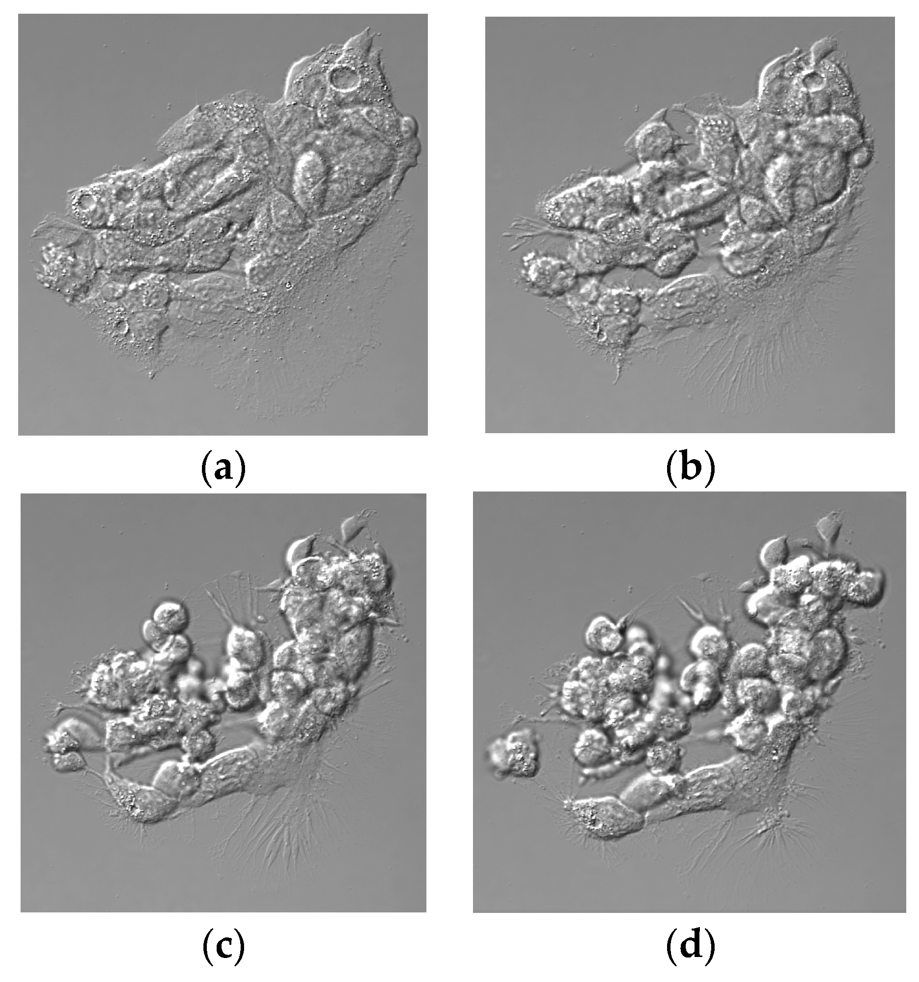 Toxins 13 00179 g002