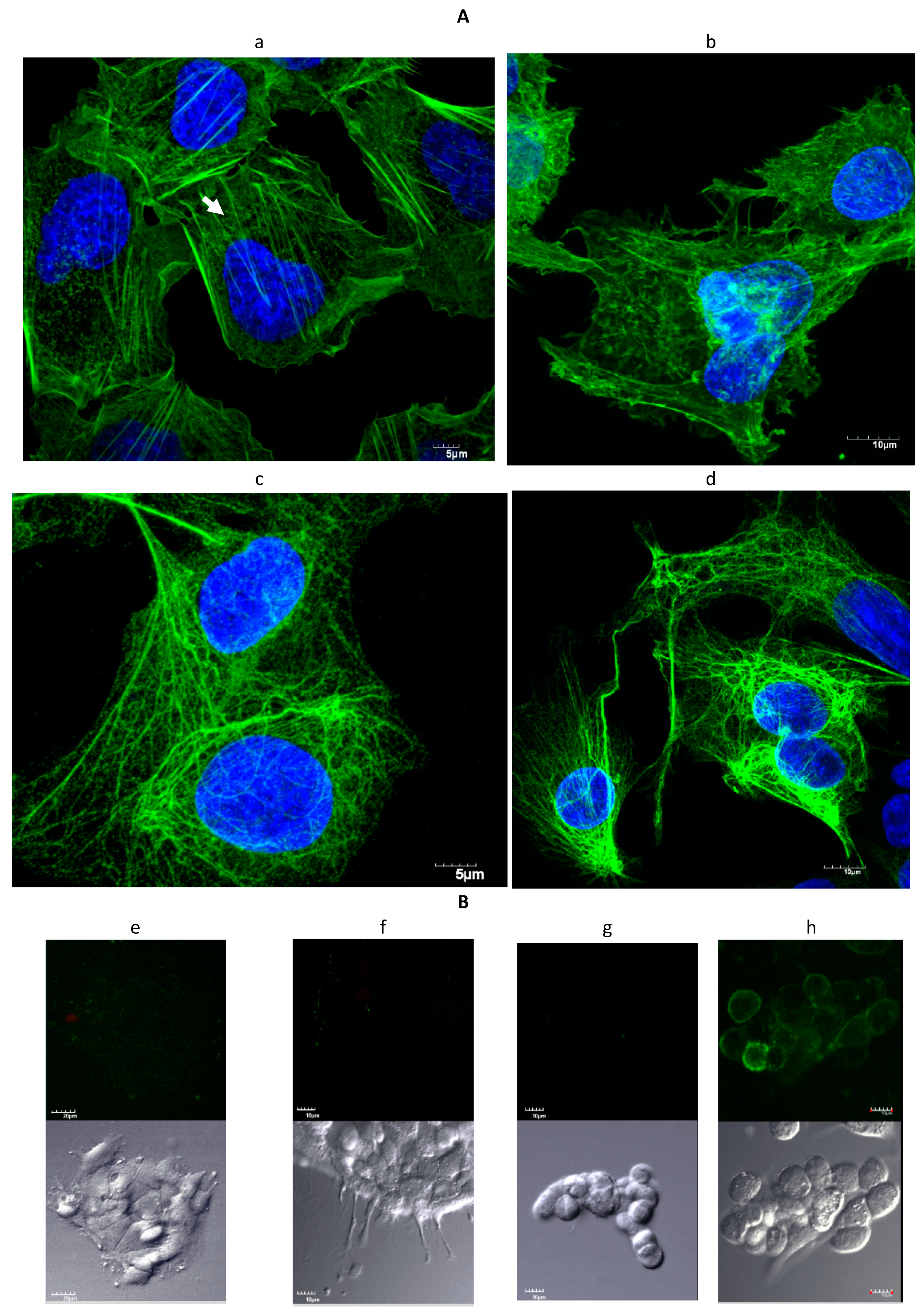 Toxins 13 00179 g003