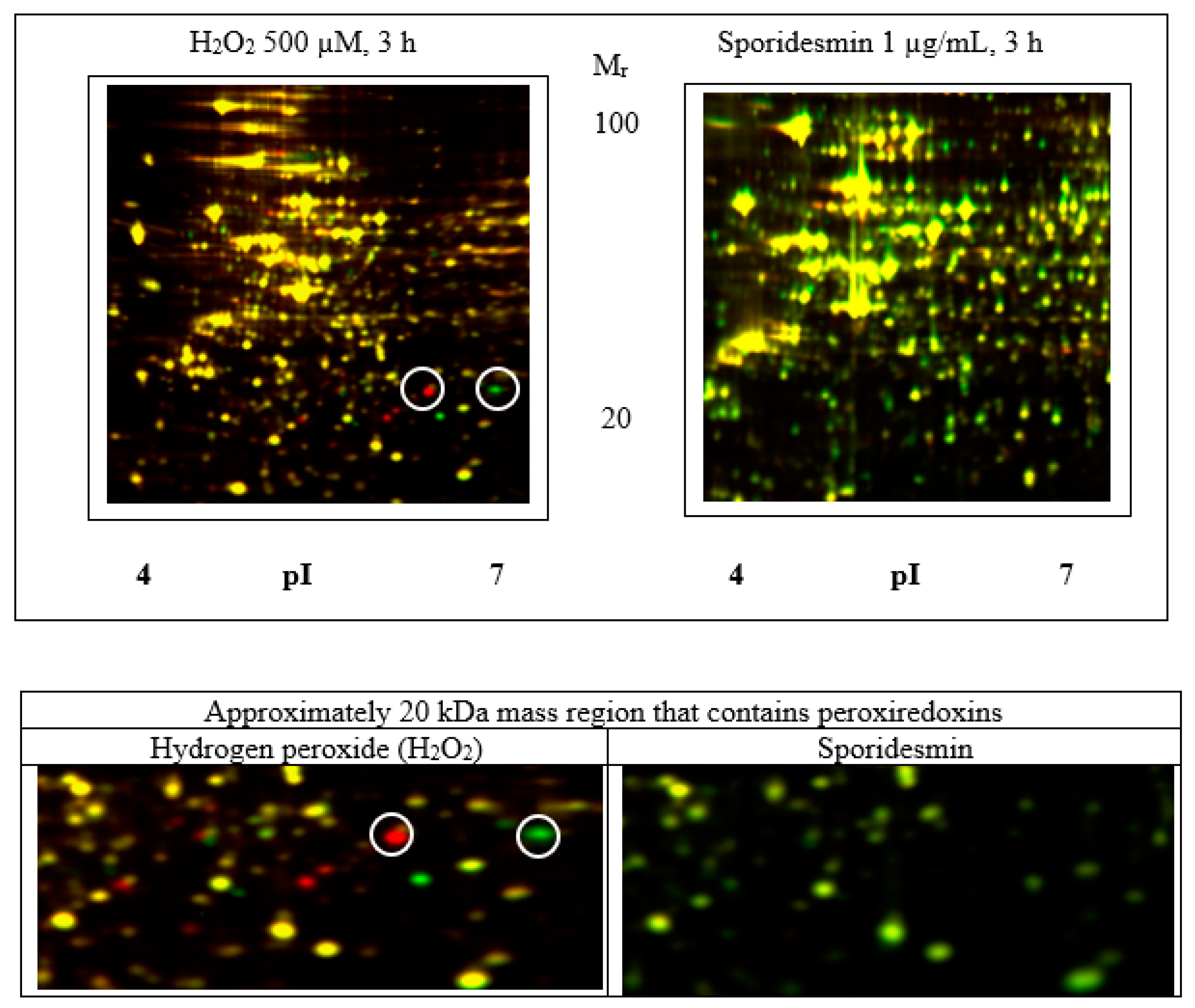 Toxins 13 00179 g005