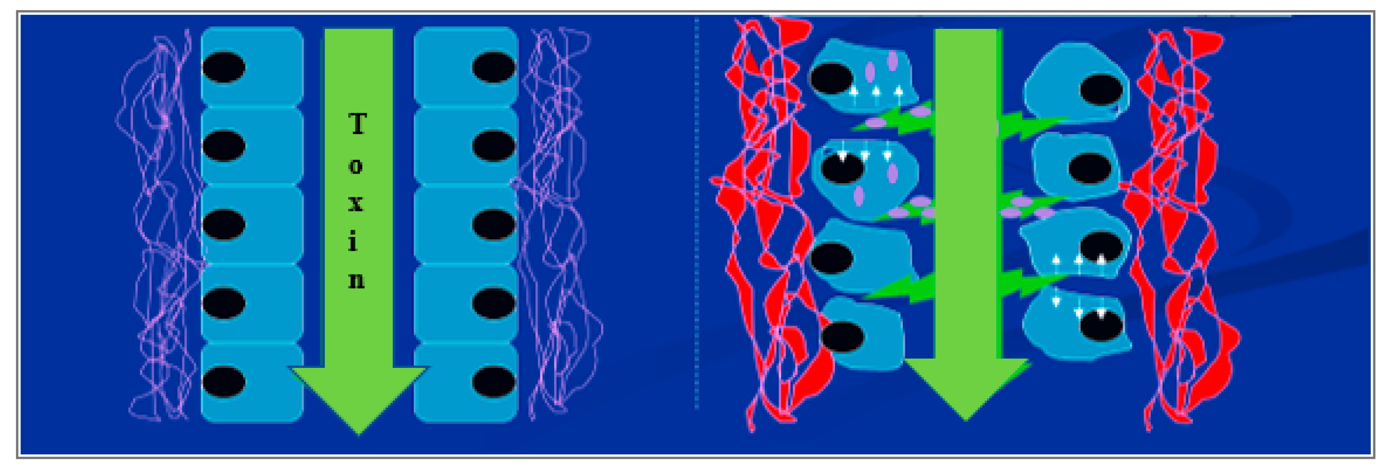 Toxins 13 00179 g006