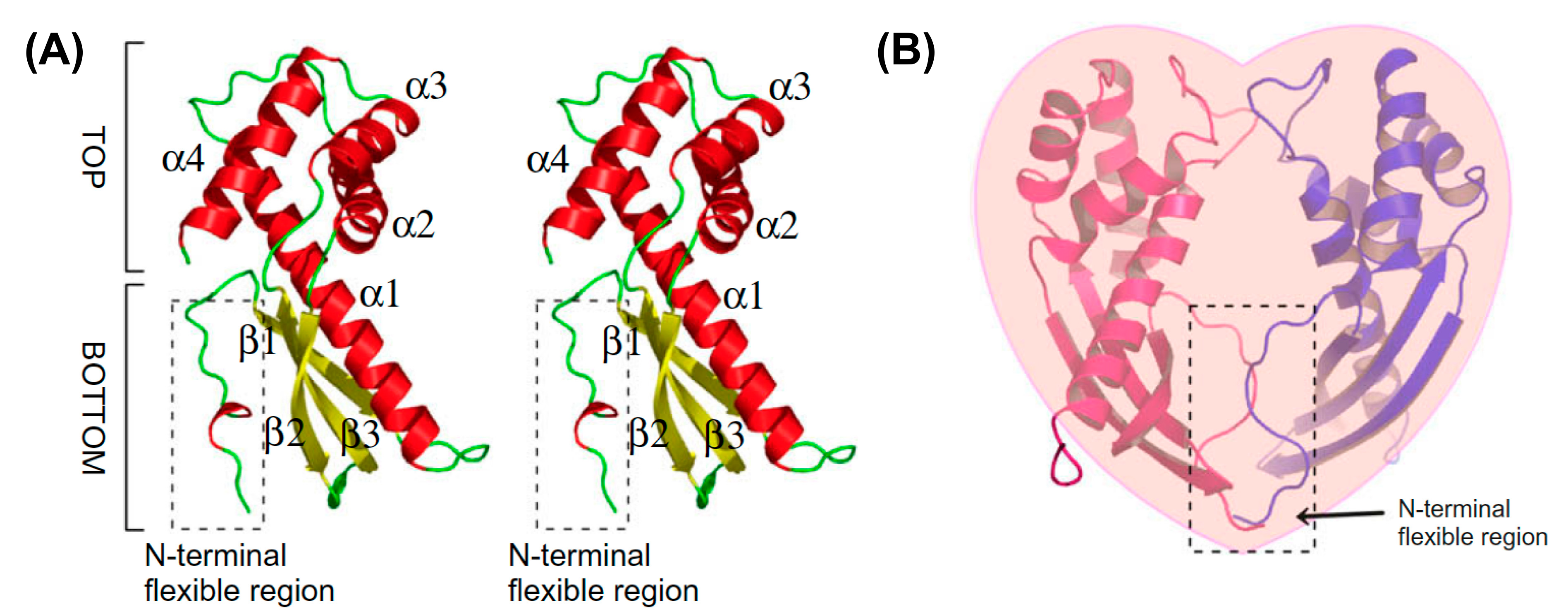 Toxins 13 00181 g003 Toxins 13 00181 g003