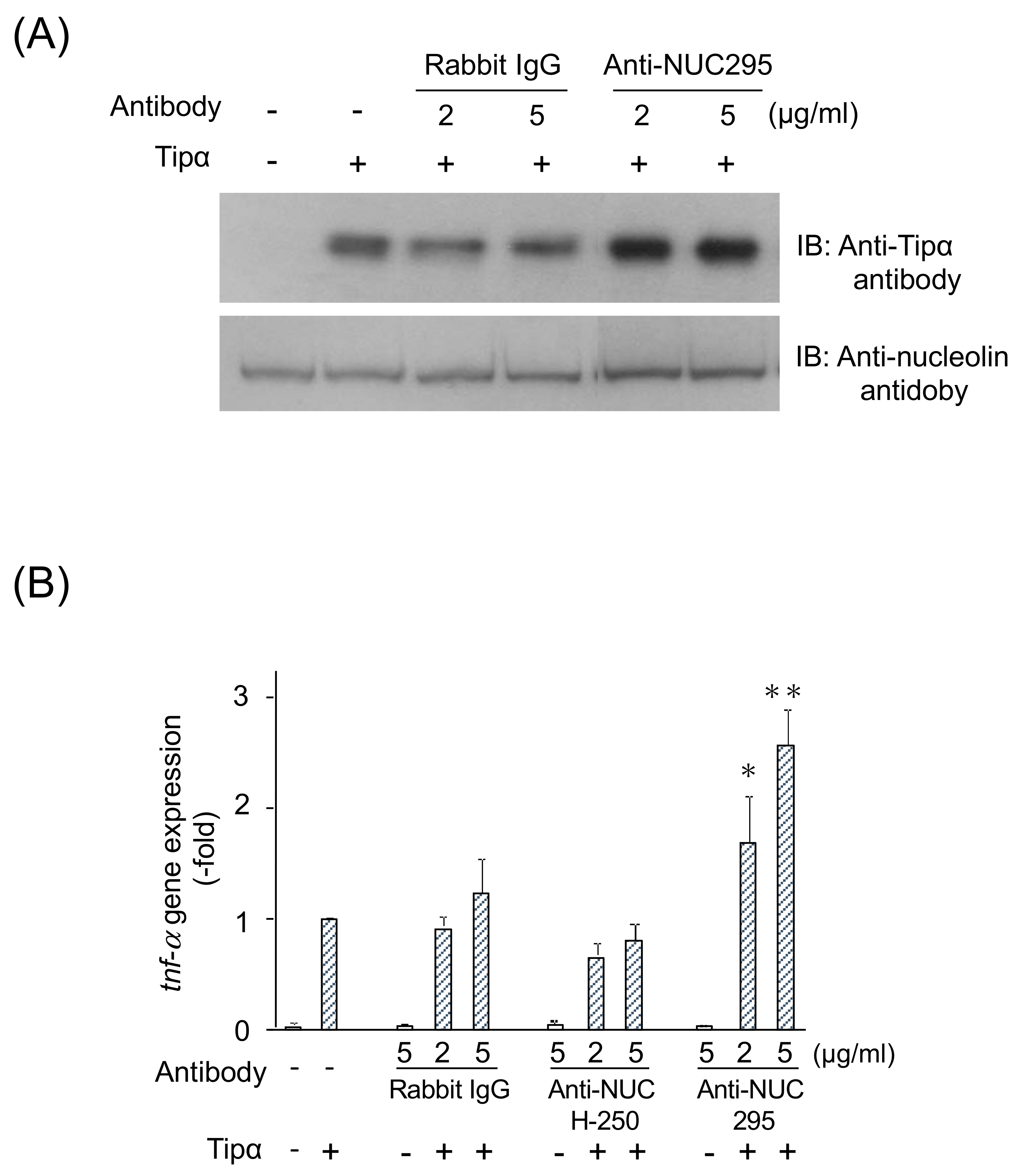 Toxins 13 00181 g005 Toxins 13 00181 g005
