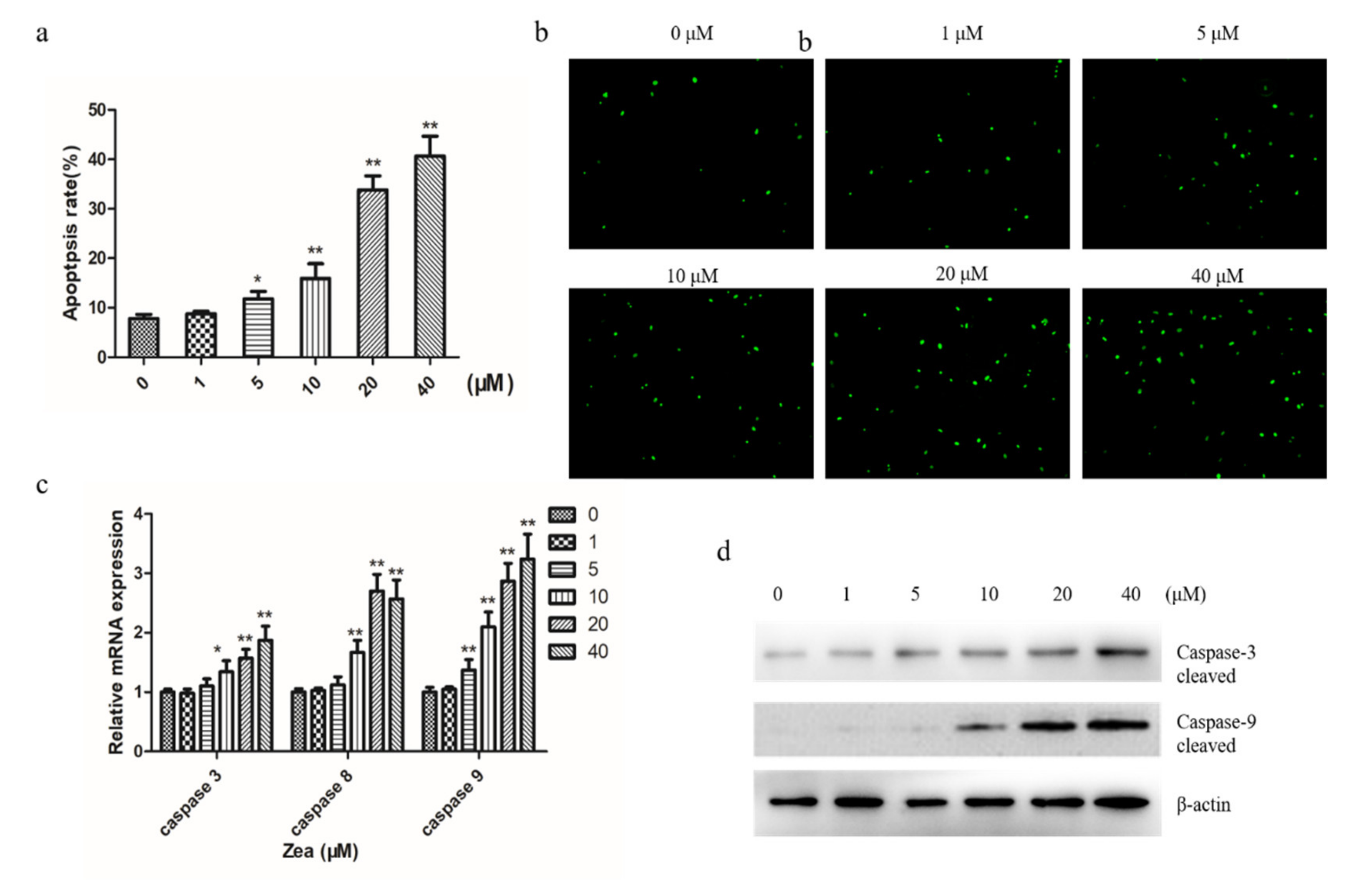 Toxins 13 00199 g002