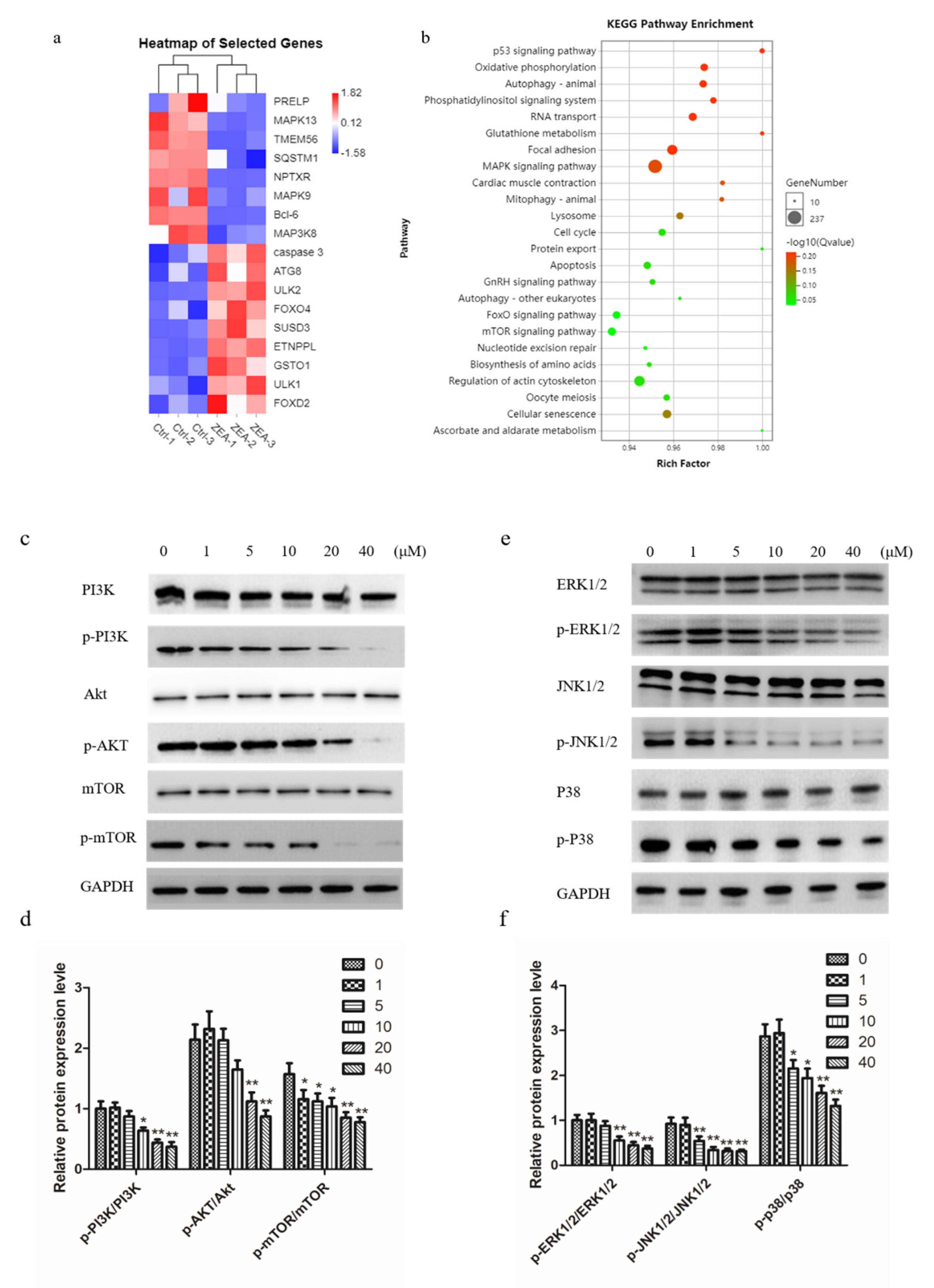 Toxins 13 00199 g005