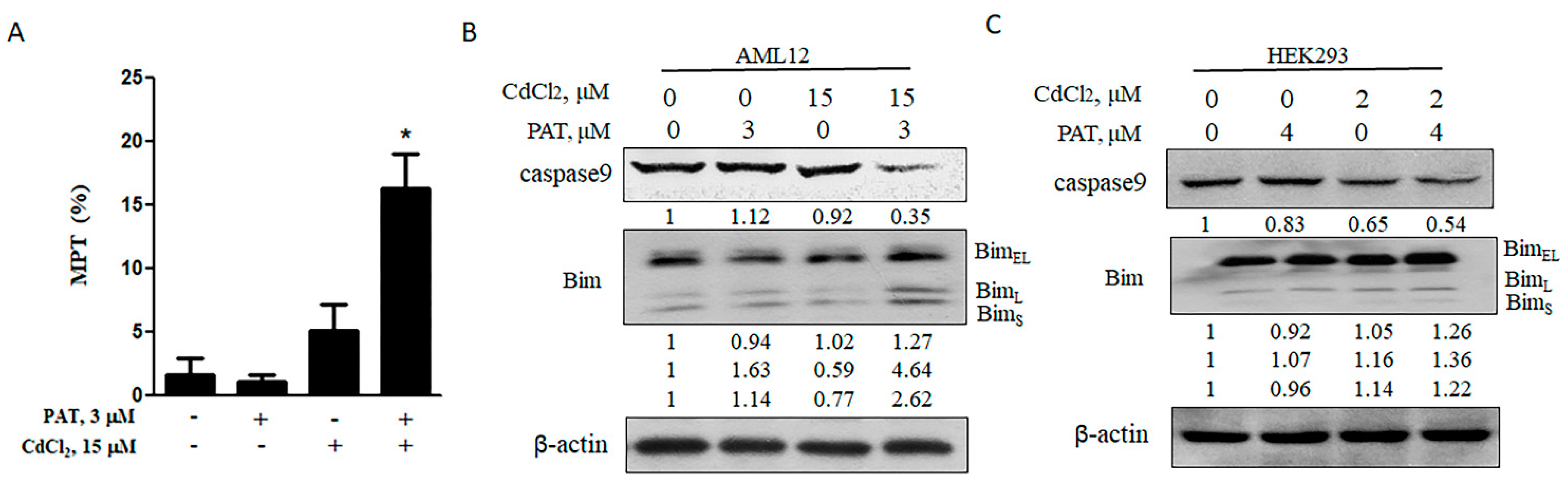 Toxins 13 00221 g002