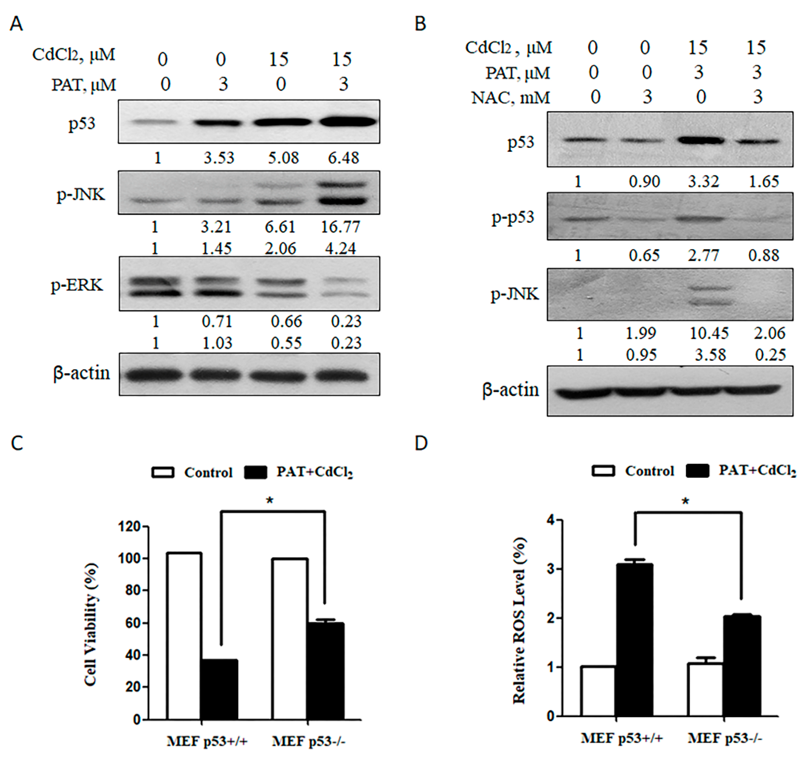 Toxins 13 00221 g004