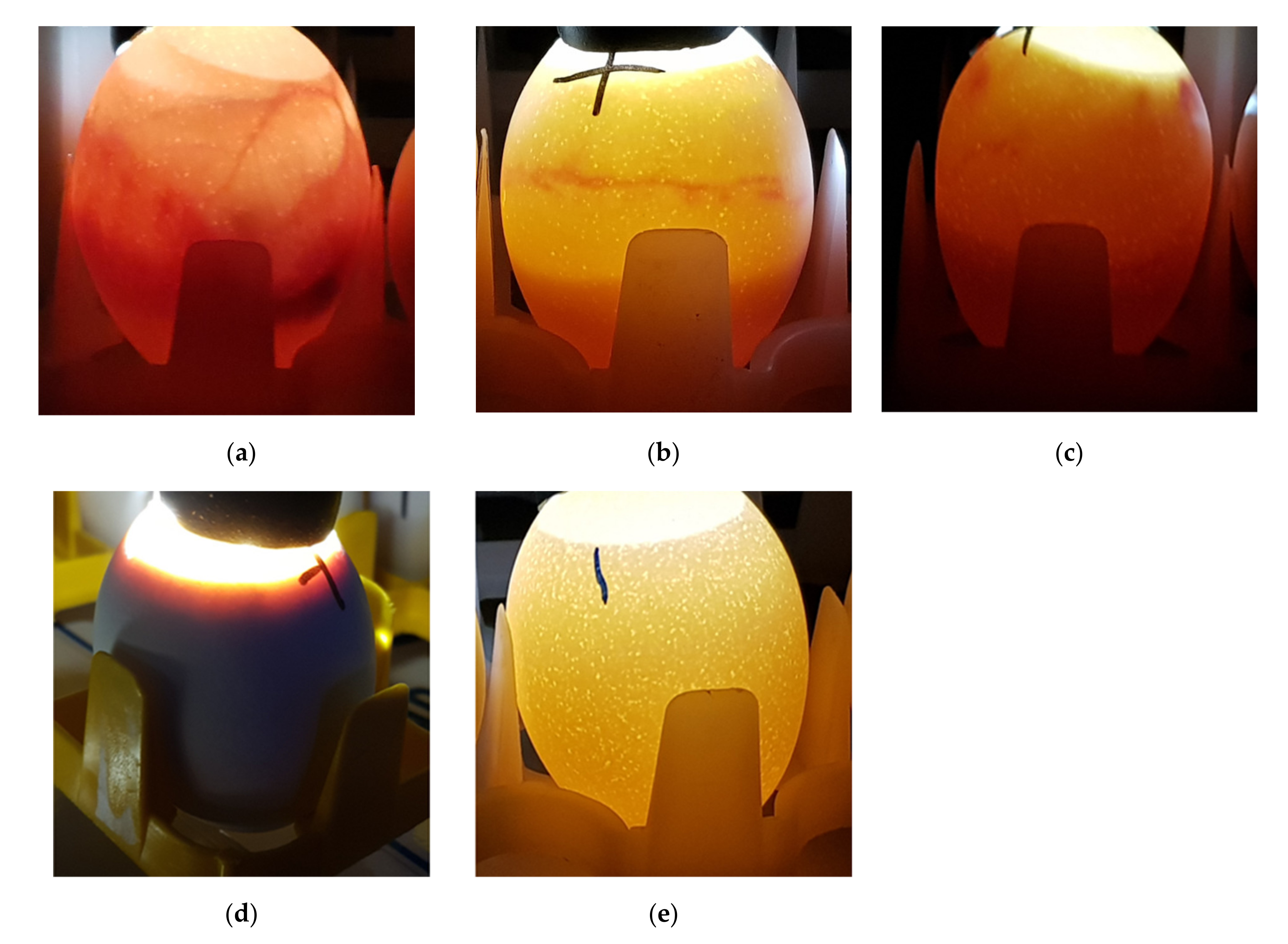Toxins 13 00233 g001