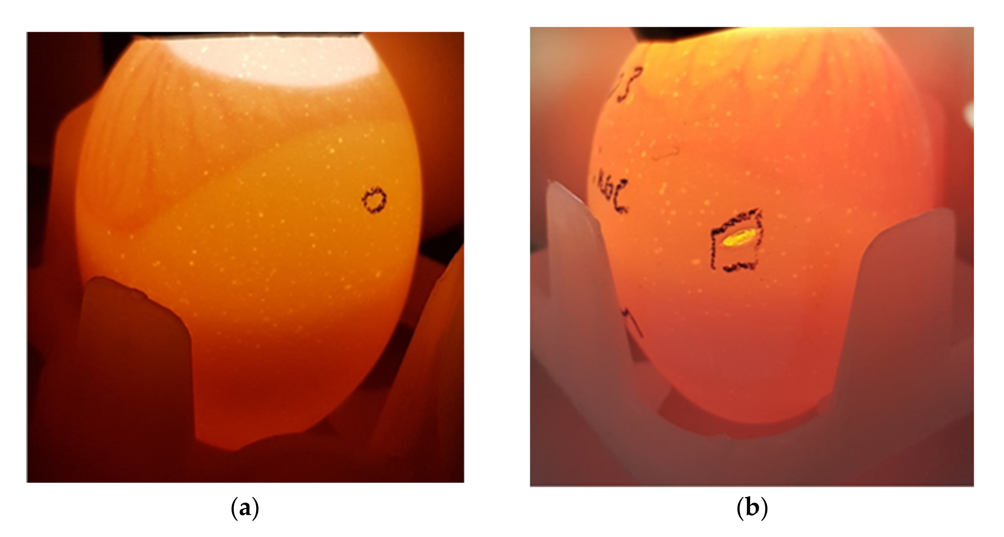 Toxins 13 00233 g006