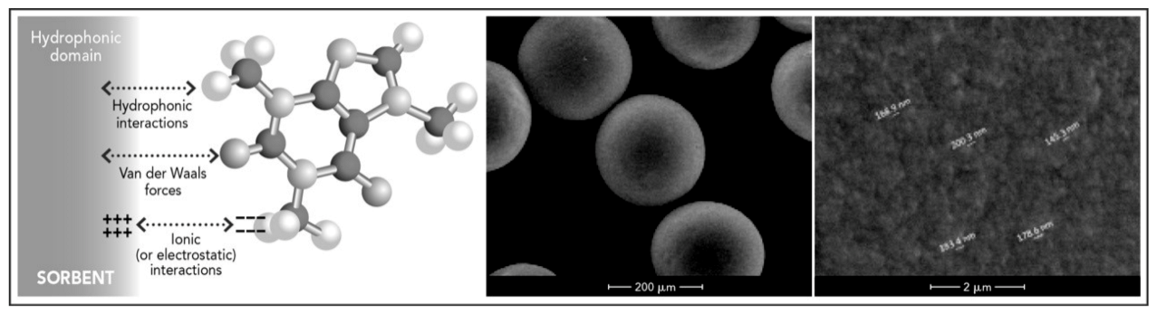 Toxins 13 00246 g002 Toxins 13 00246 g002