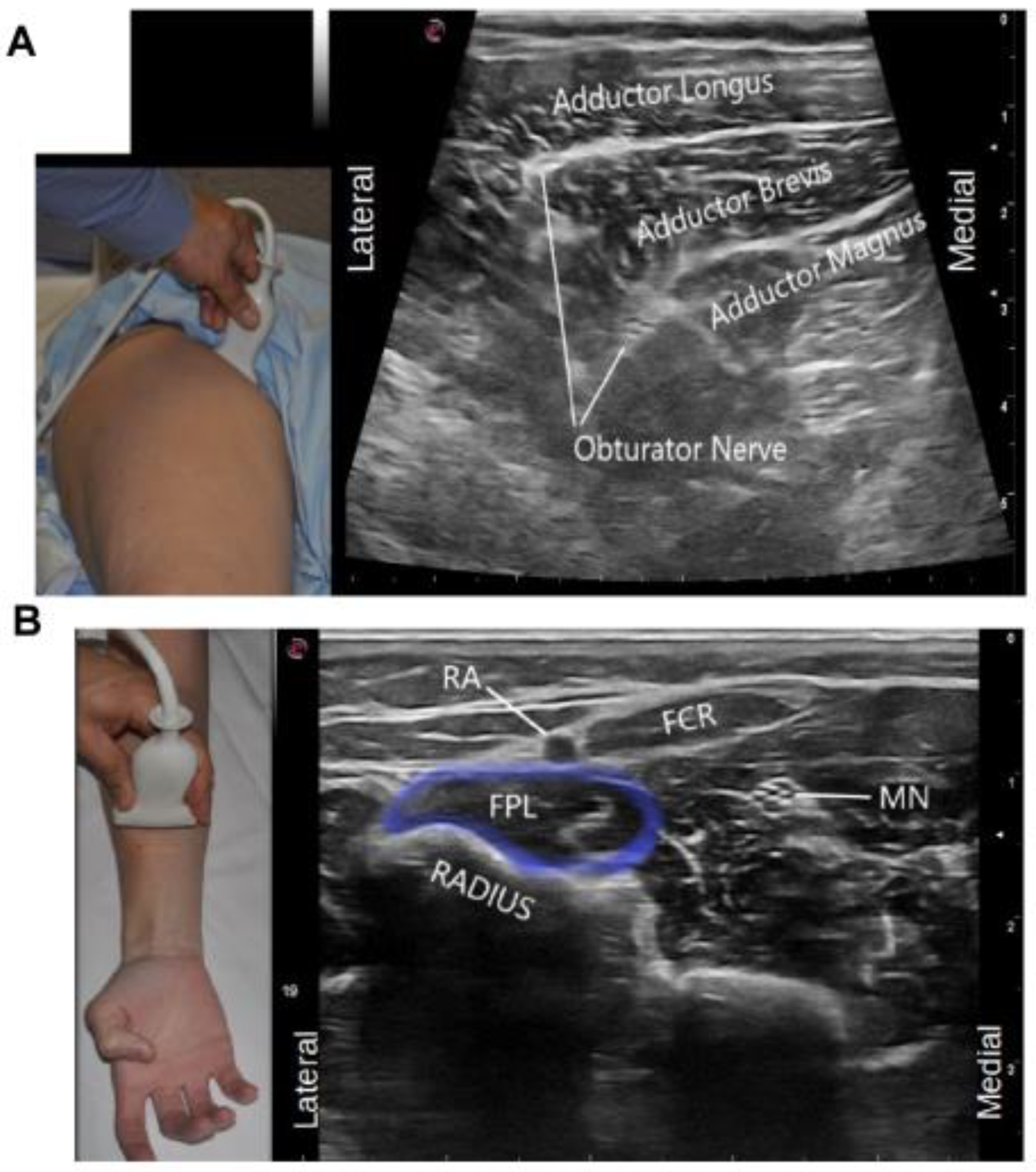 Toxins 13 00249 g007