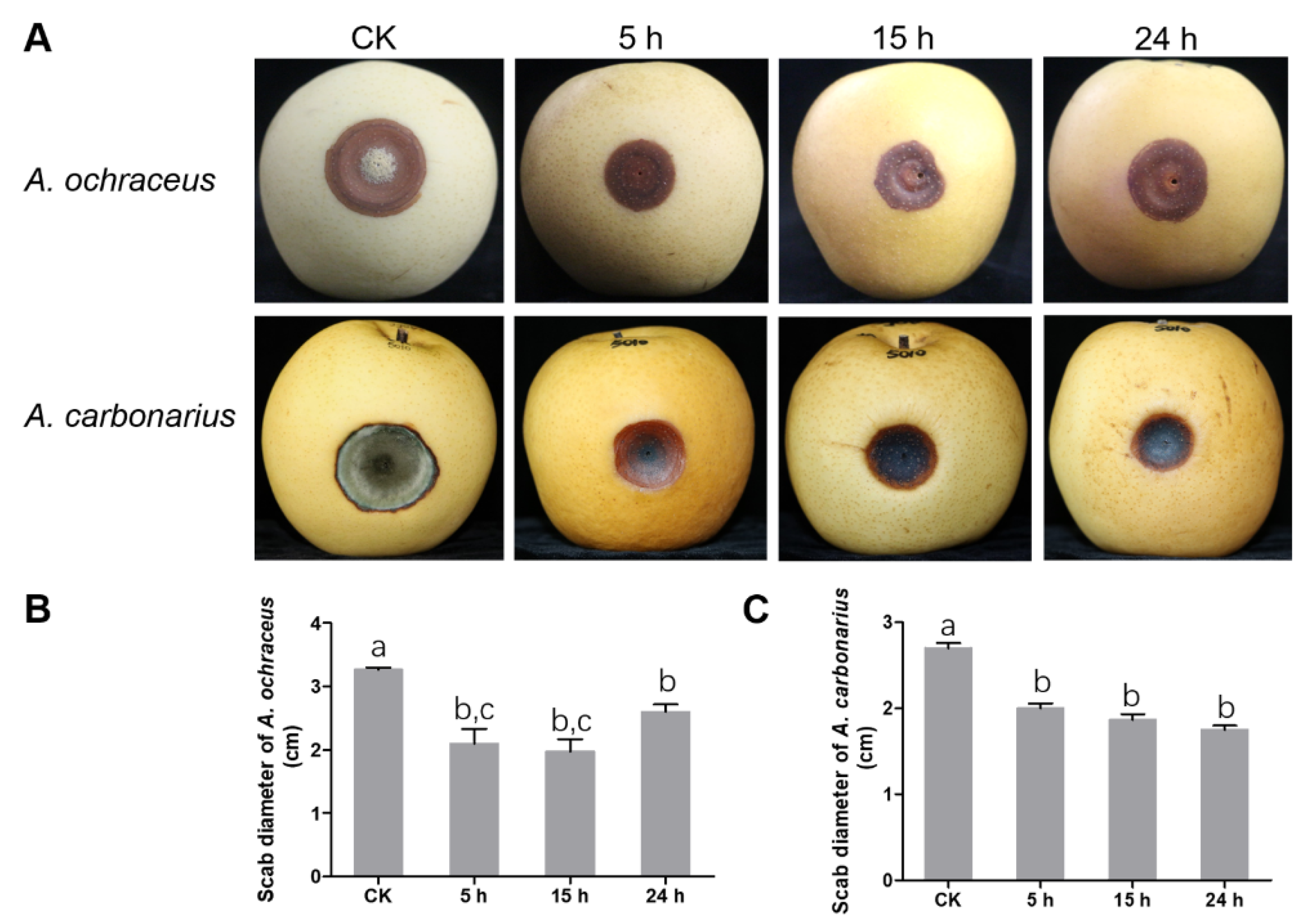 Toxins 13 00251 g005