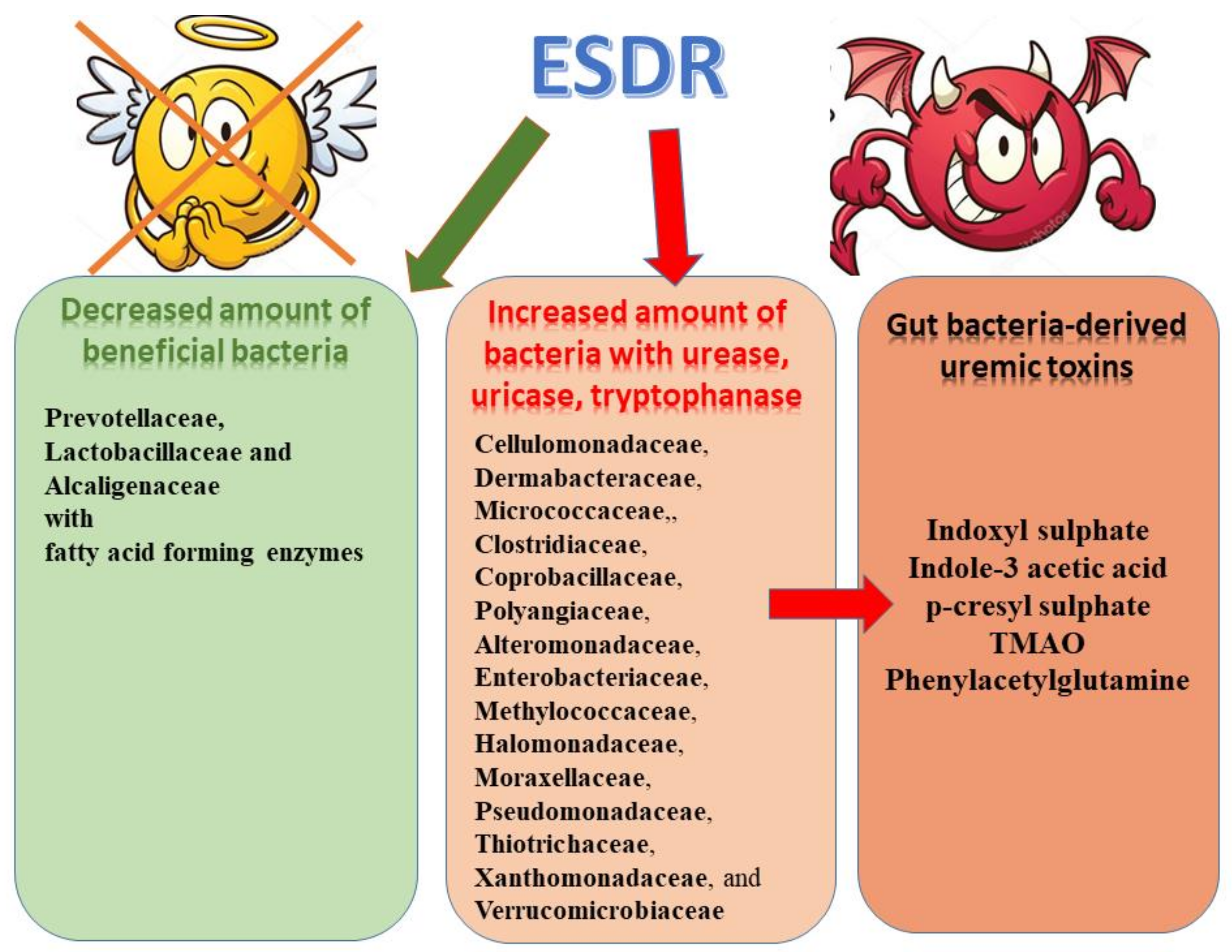 uremic toxins: classification