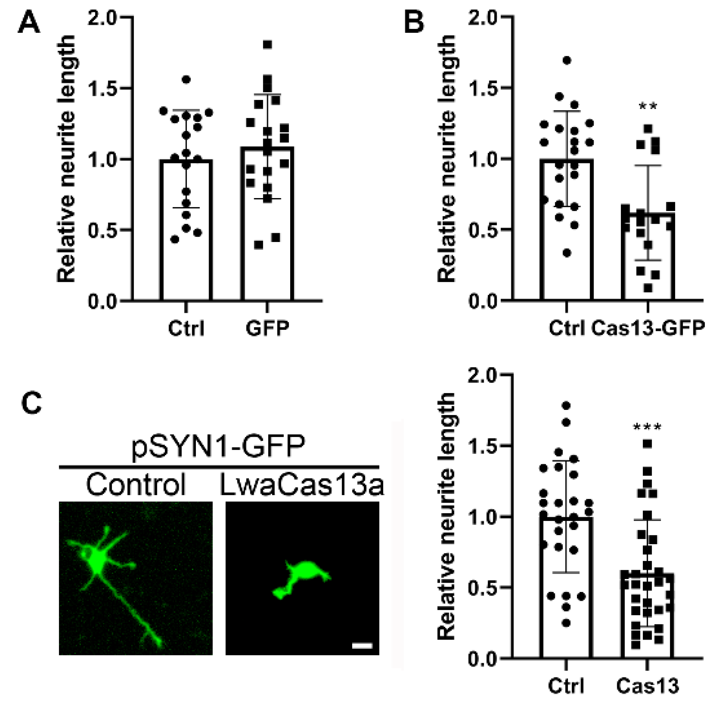 Toxins 13 00262 g002