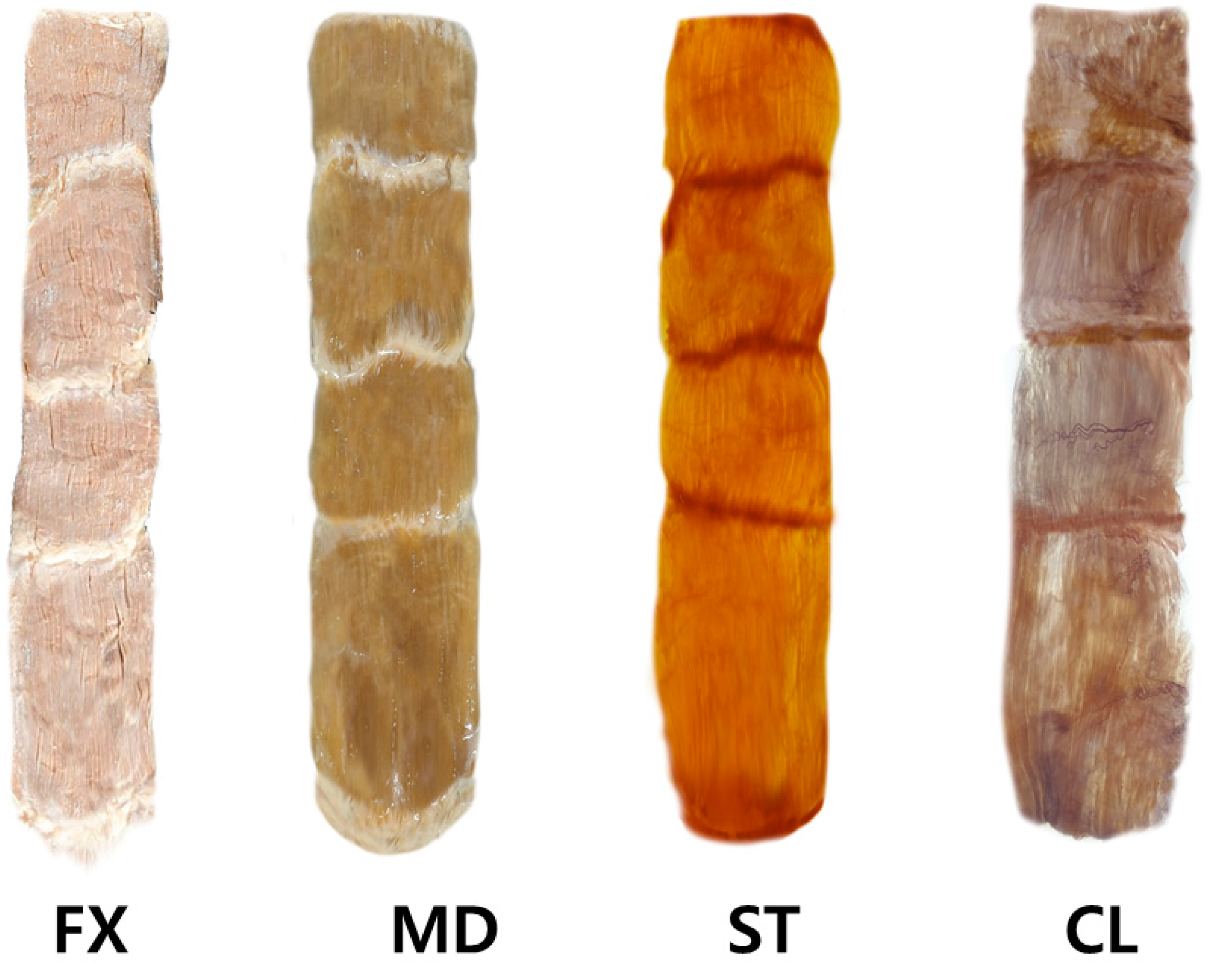 Toxins 13 00269 g004