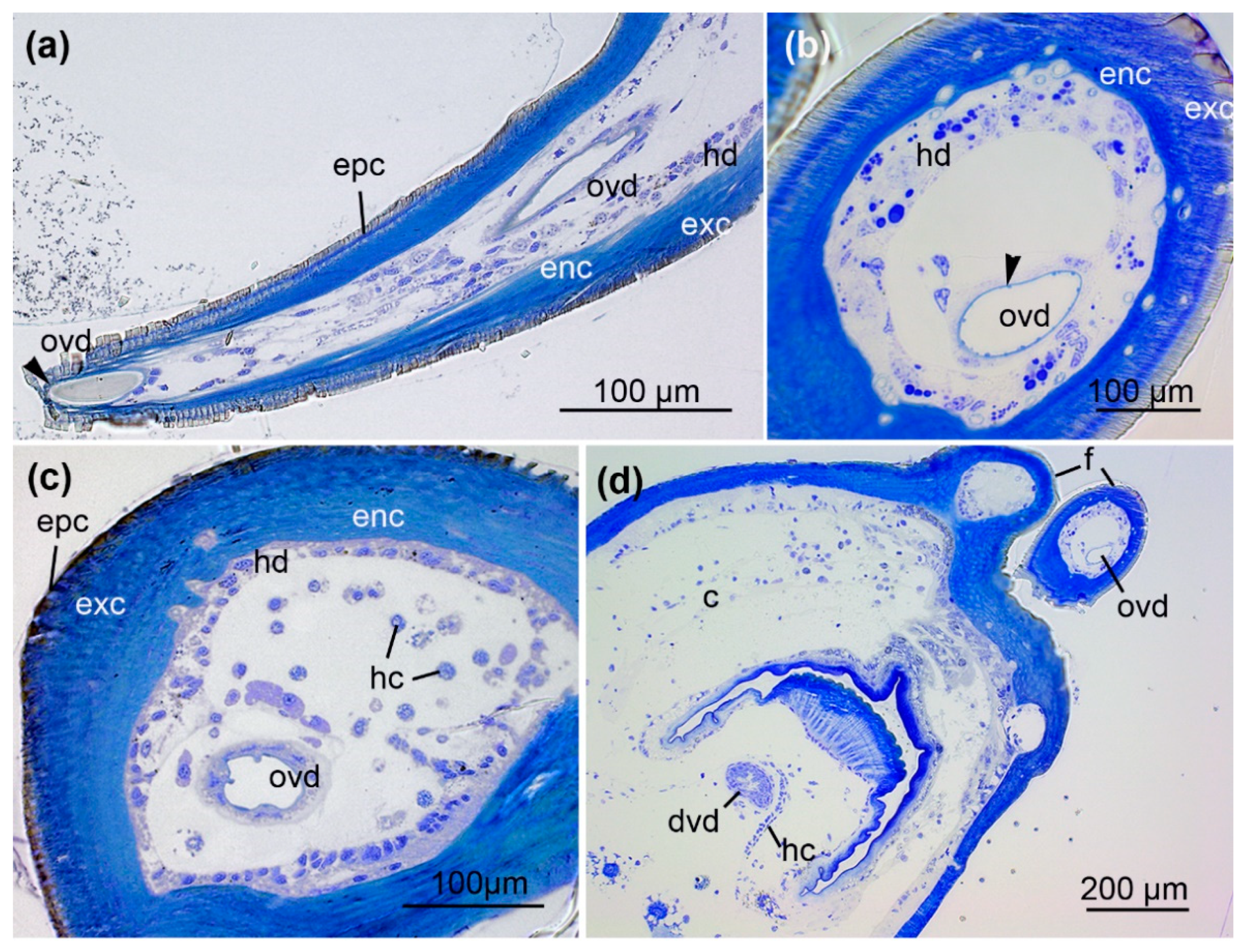Toxins 13 00270 g002