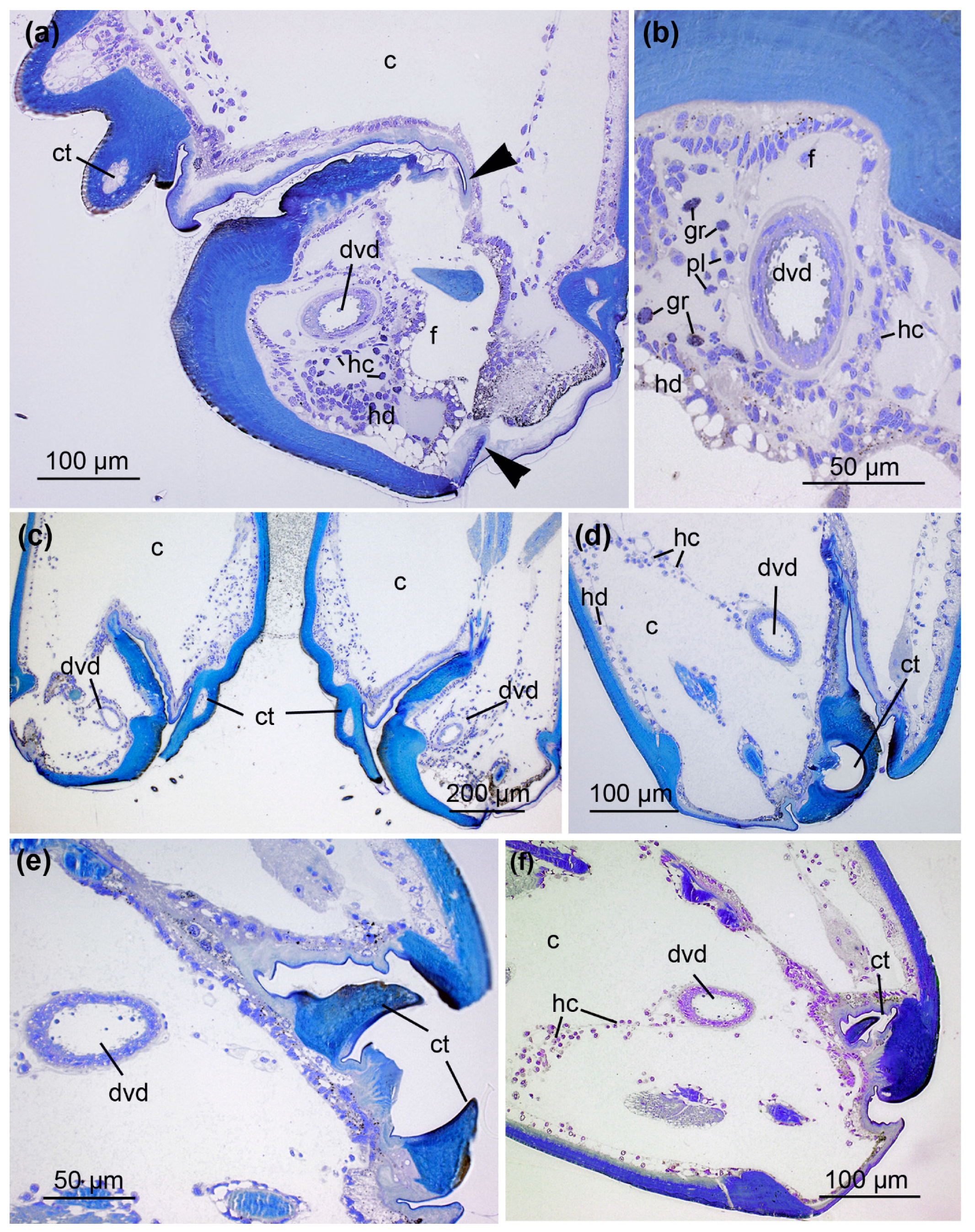Toxins 13 00270 g003