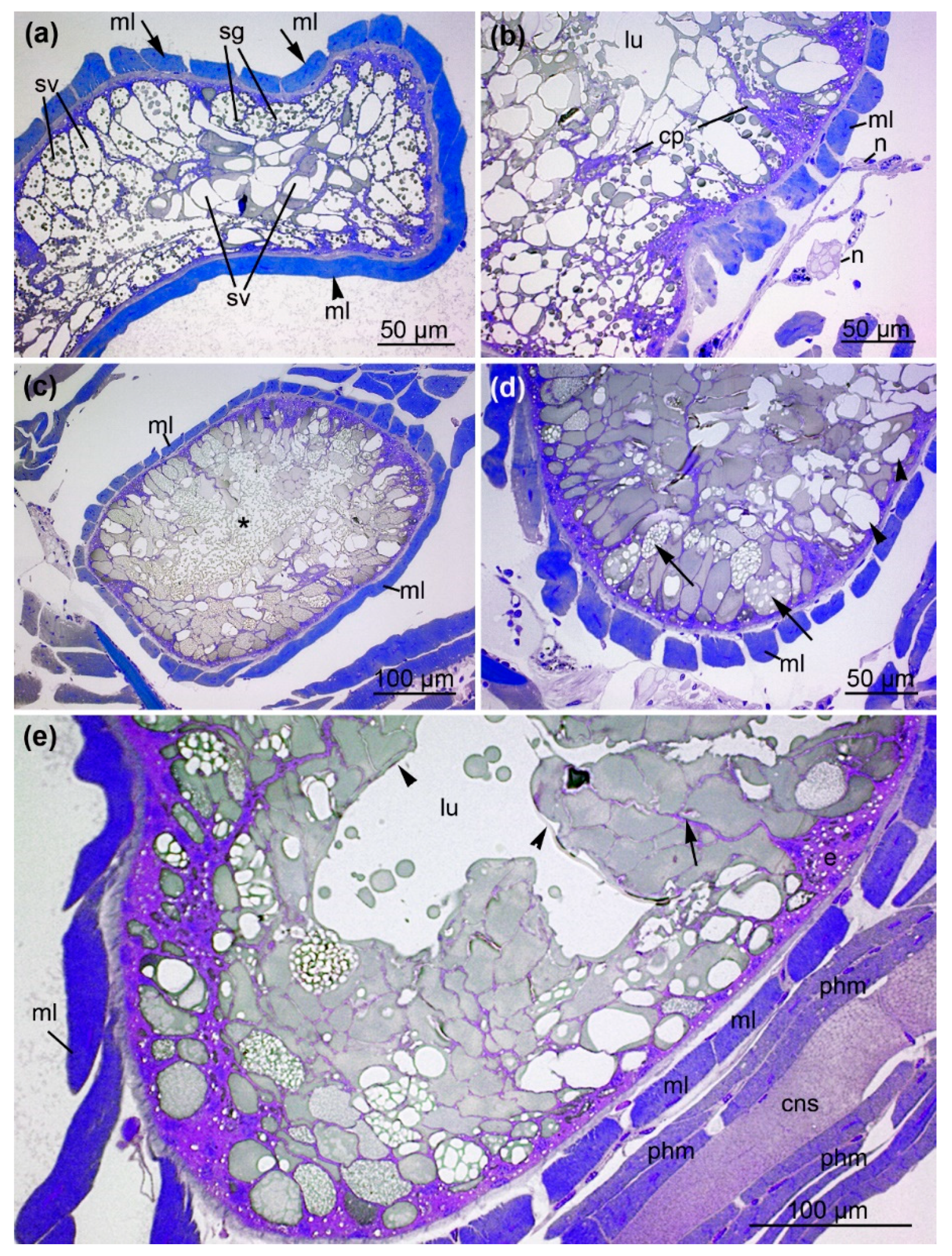 Toxins 13 00270 g006