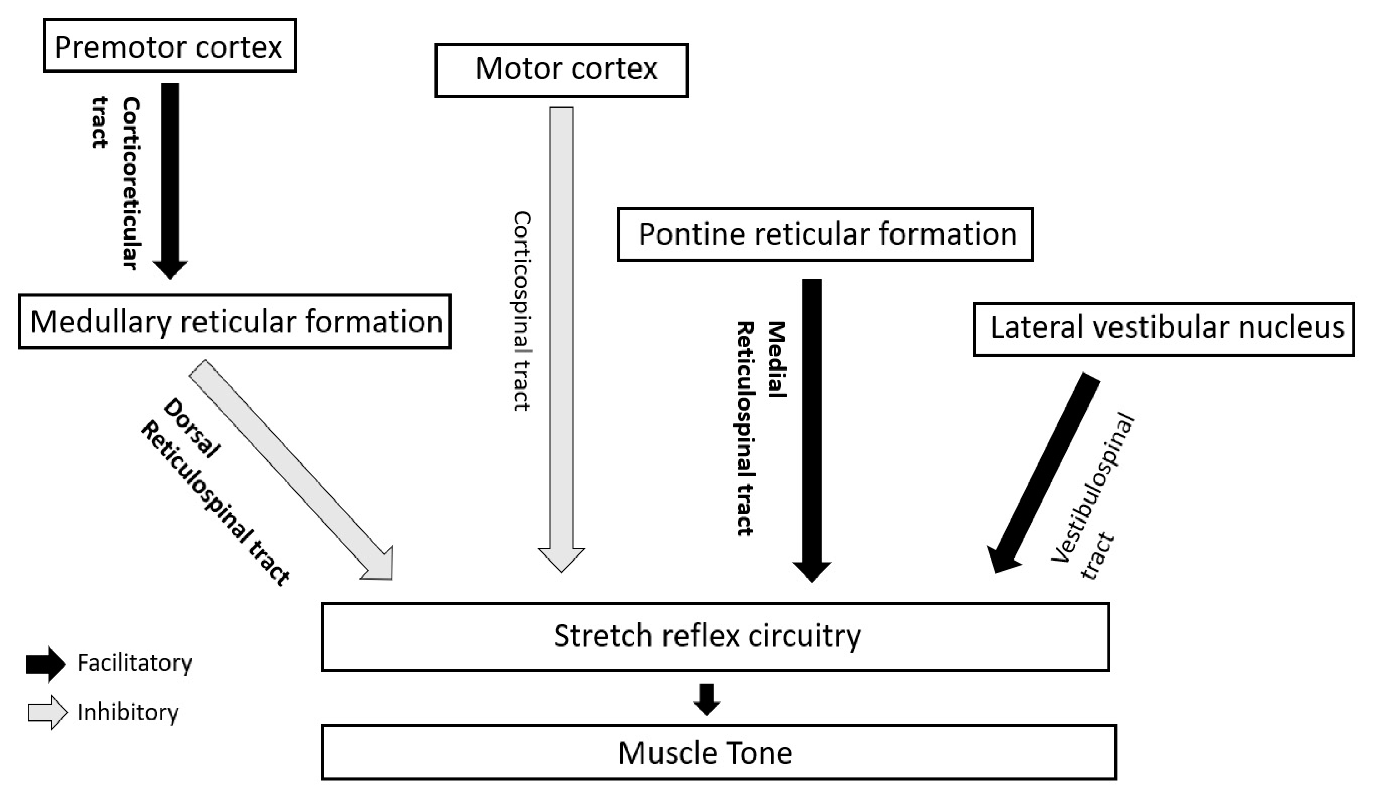 Toxins 13 00282 g002
