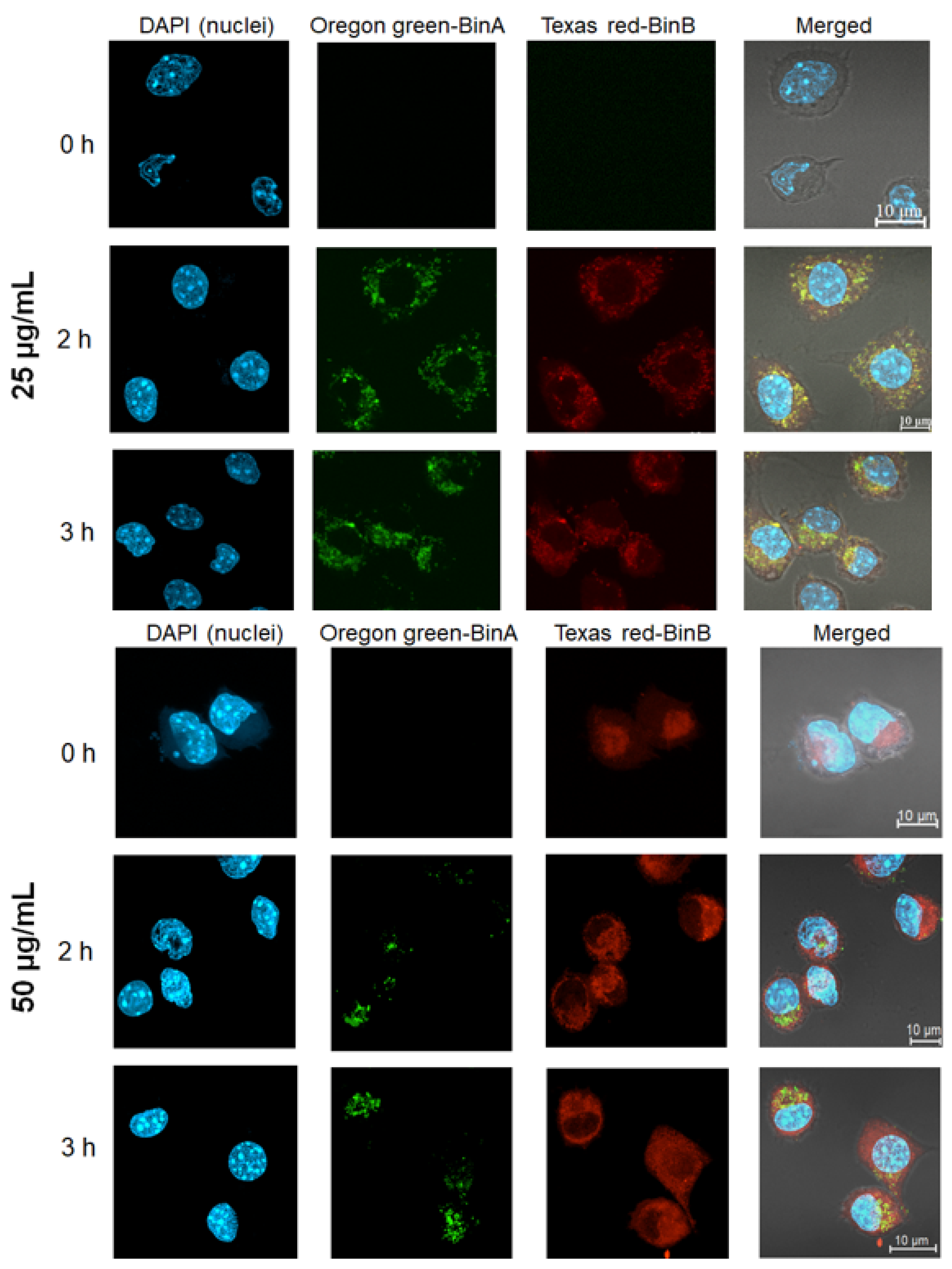 Toxins 13 00288 g006