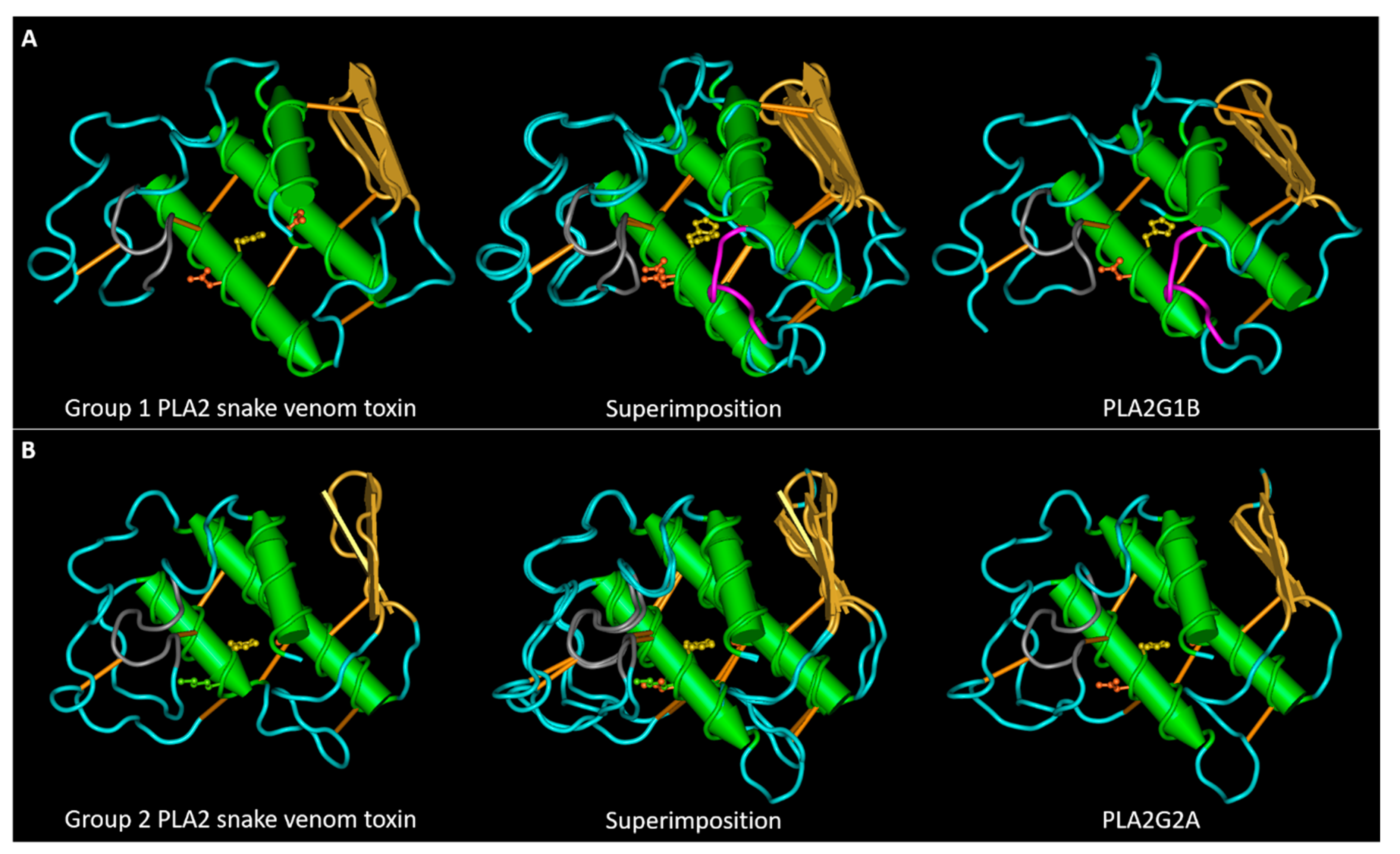 Toxins 13 00290 g001 Toxins 13 00290 g001